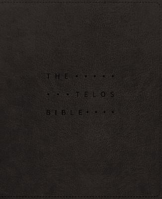 NIV Telos Bible Charcoal