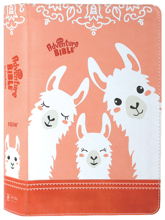 NIRV Adventure Bible For Early Readers Coral Full Color