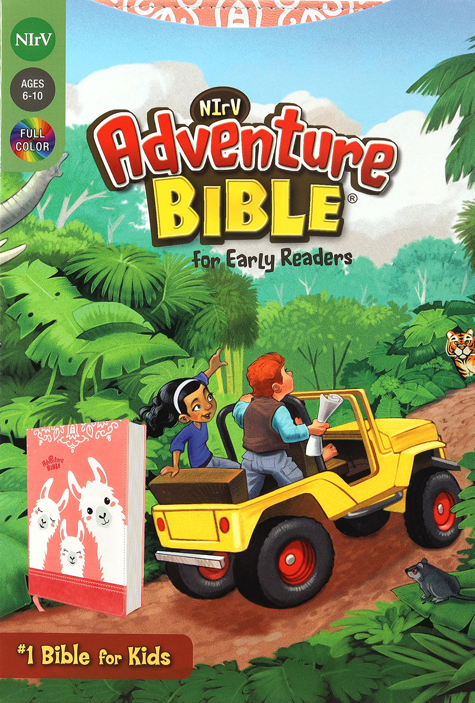 NIRV Adventure Bible For Early Readers Coral Full Color