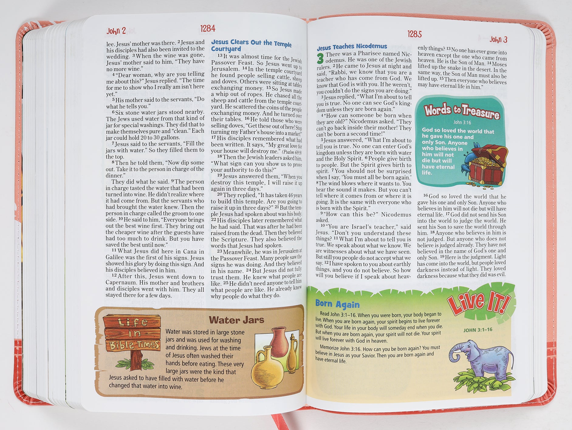 NIRV Adventure Bible For Early Readers Coral Full Color