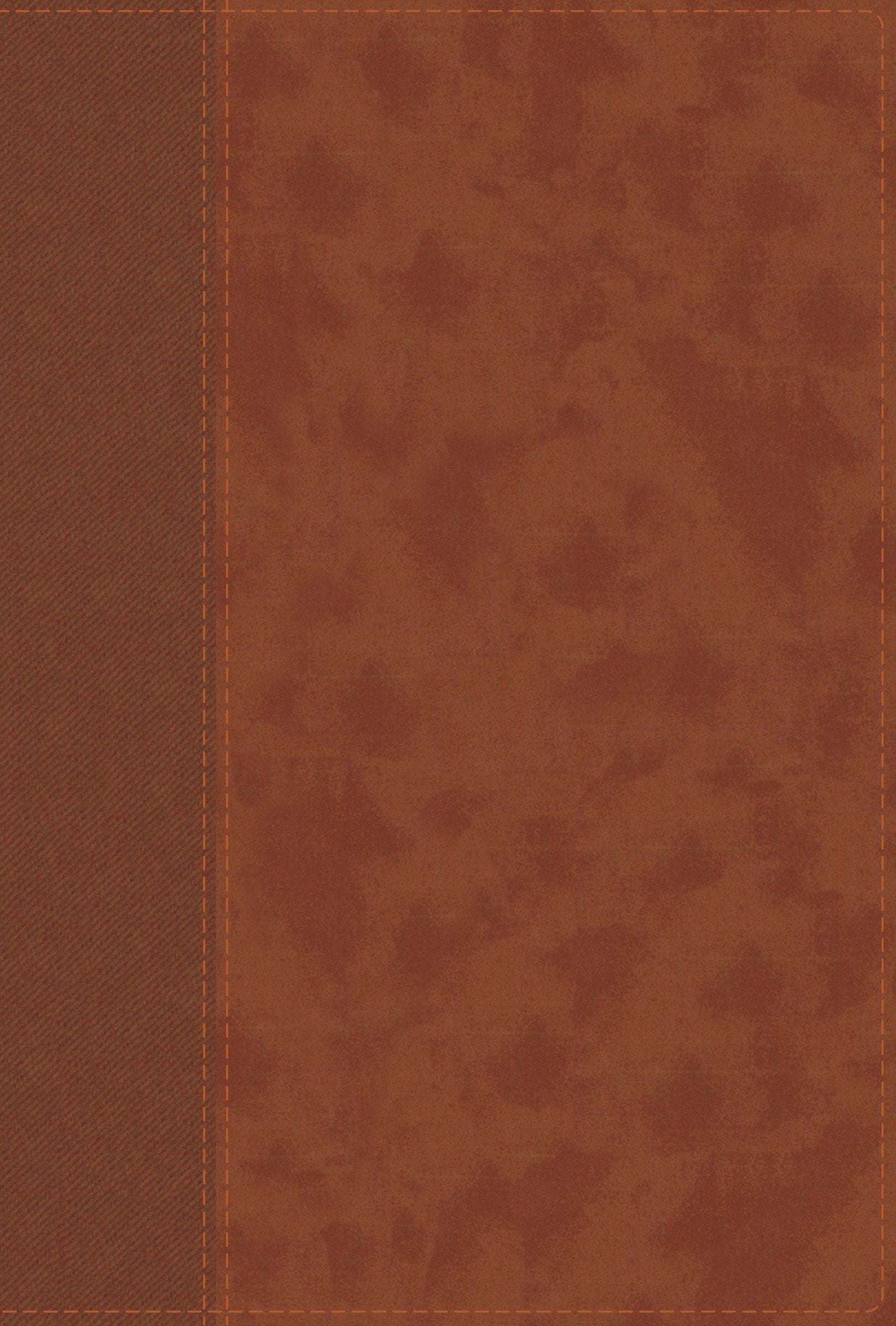 NIV Personal Size Bible Large Print Brown Thumb Indexed (Red Letter Edition)