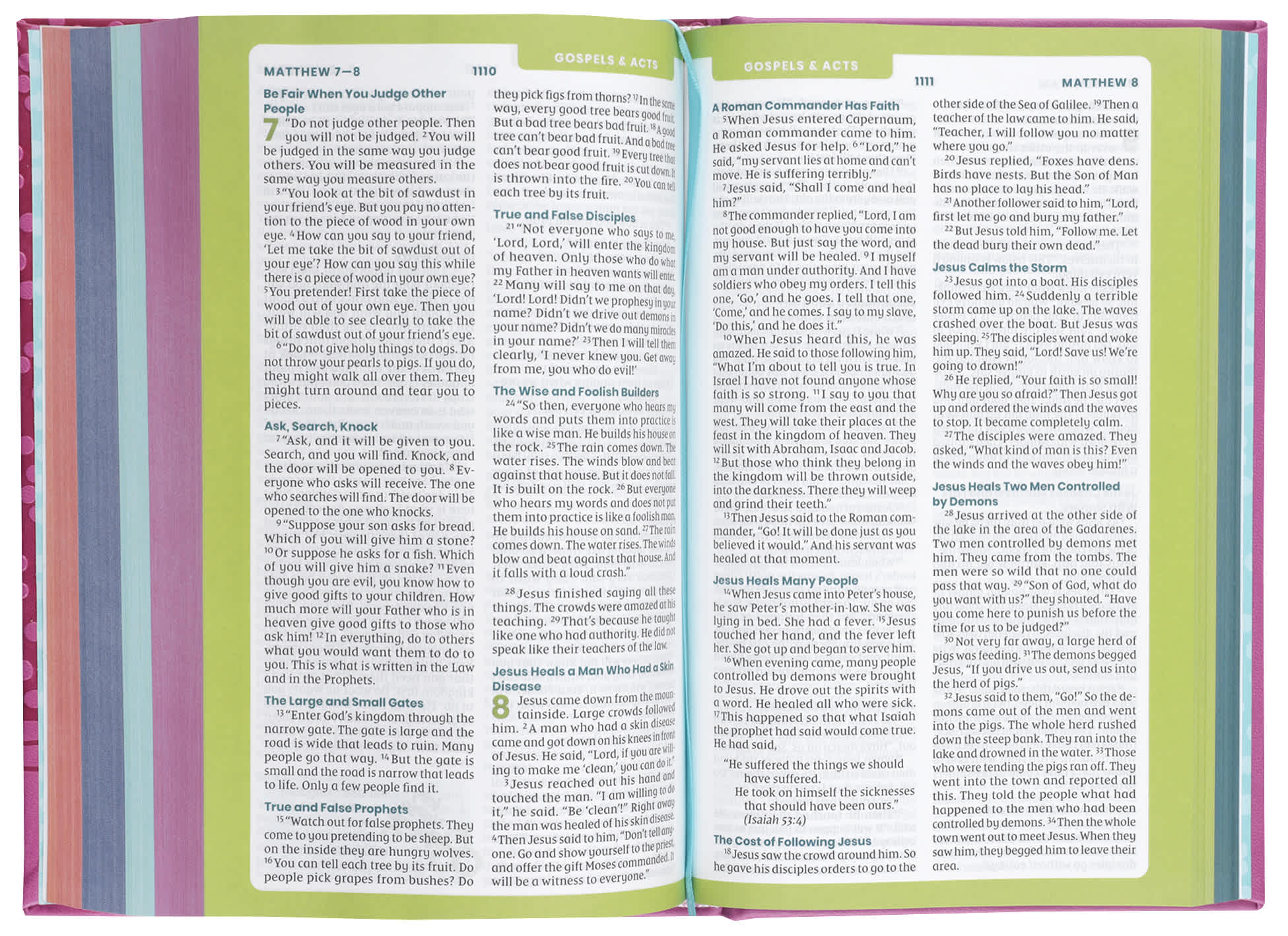 NIRV Tiny Theologians Bible, Pink