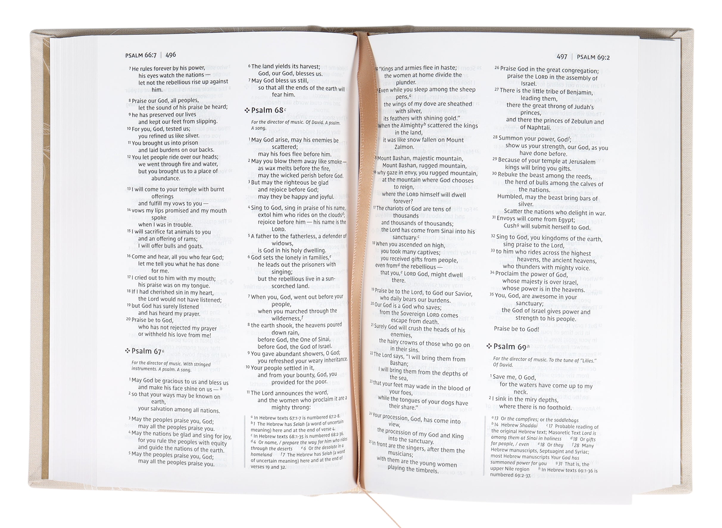 NIV Bride's Bible Cream (Red Letter Edition)