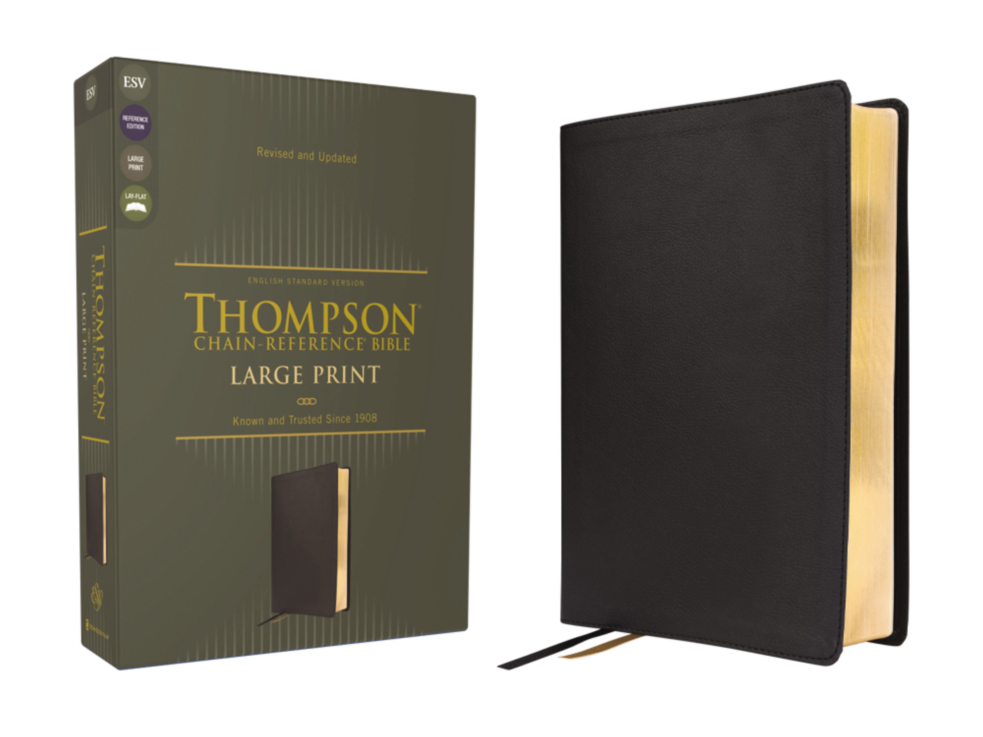 ESV Thompson Chain-Reference Bible Large Print Black (Red Letter Edition)