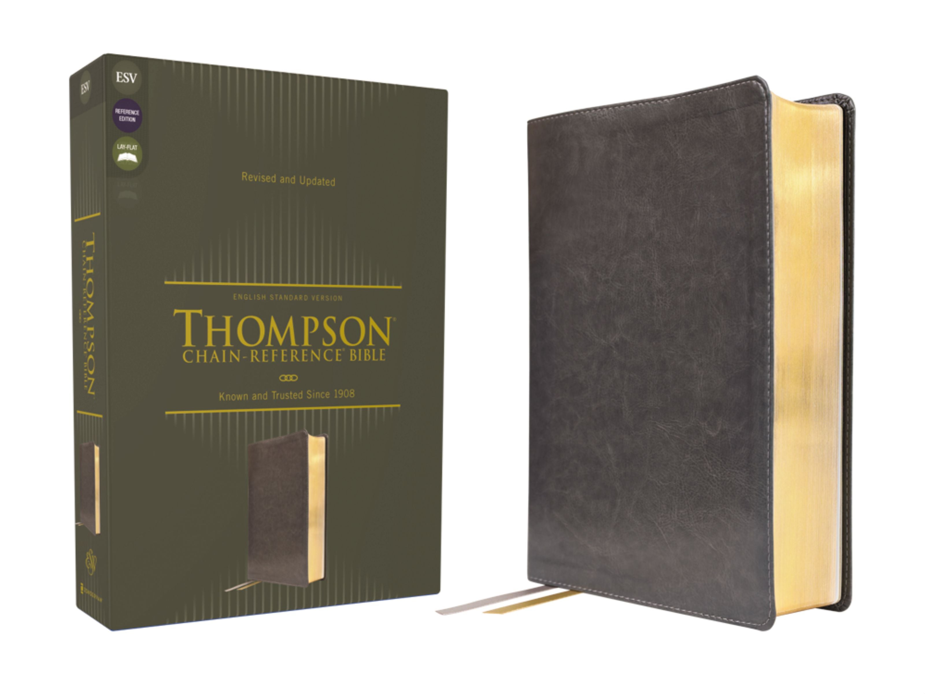 ESV Thompson Chain-Reference Bible Grey (Red Letter Edition)
