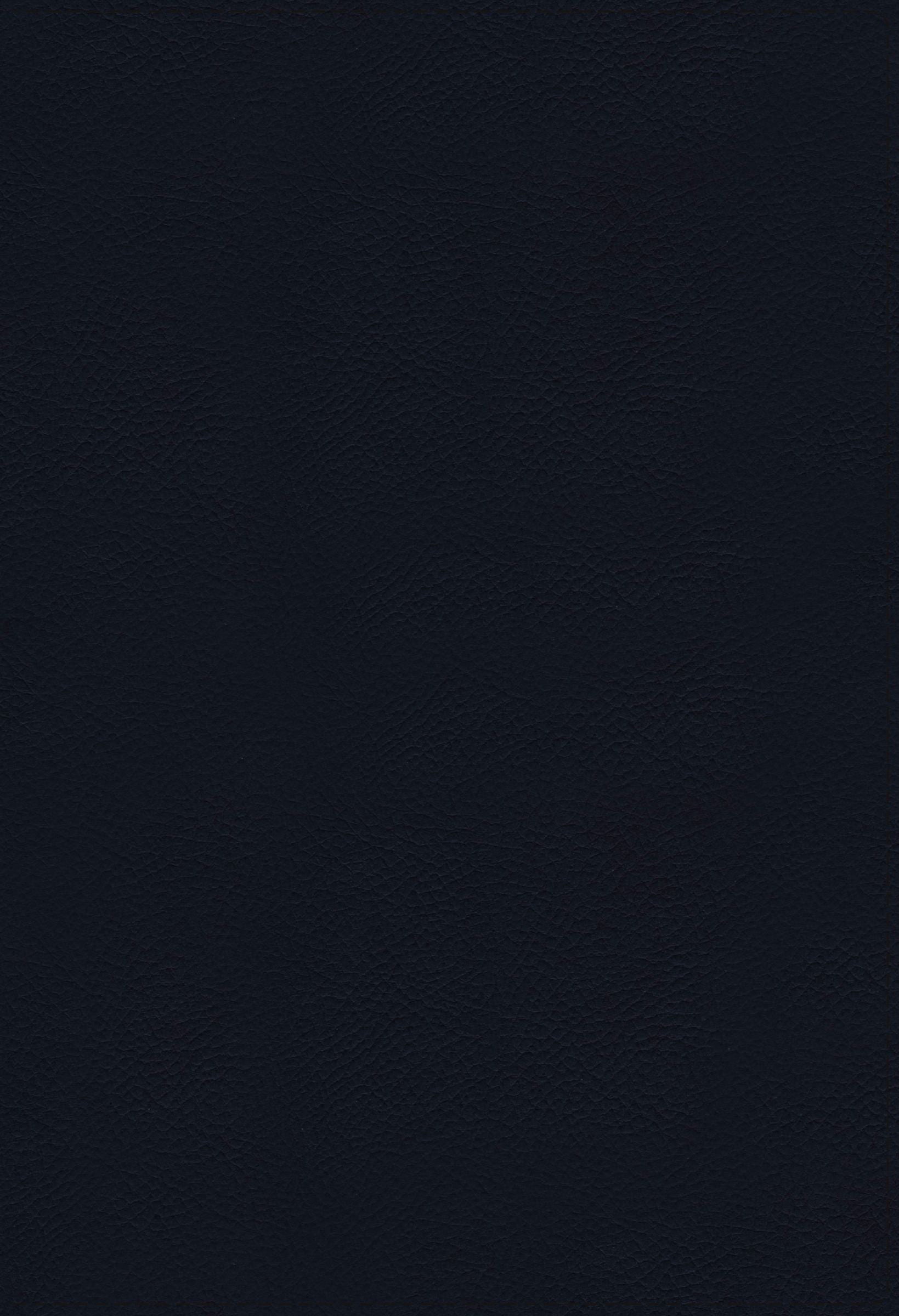 NASB Thompson Chain-Reference Bible Large Print Navy 1995 Text Thumb Indexed (Red Letter Edition)