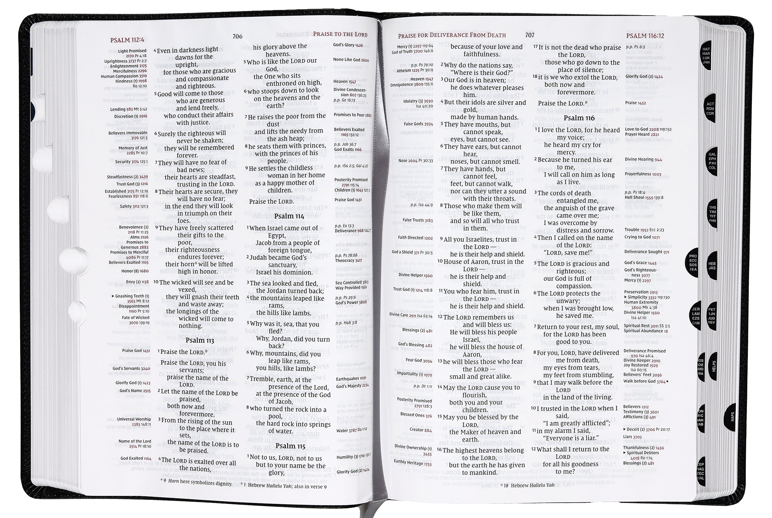 NIV Thompson Chain-Reference Bible Large Print Black Thumb Indexed (Red Letter Edition)