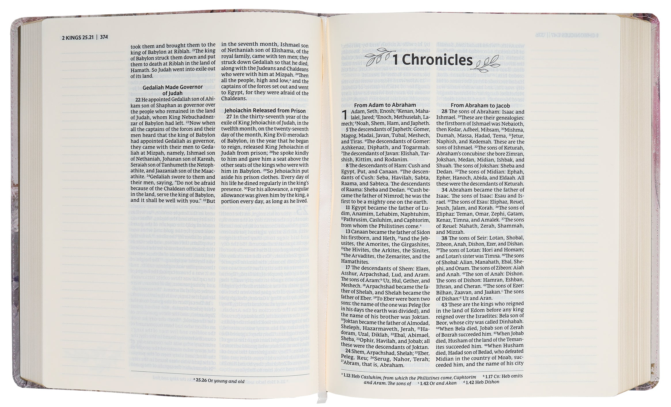 Nrsvue Artisan Collection Bible Multi-Color/Cream