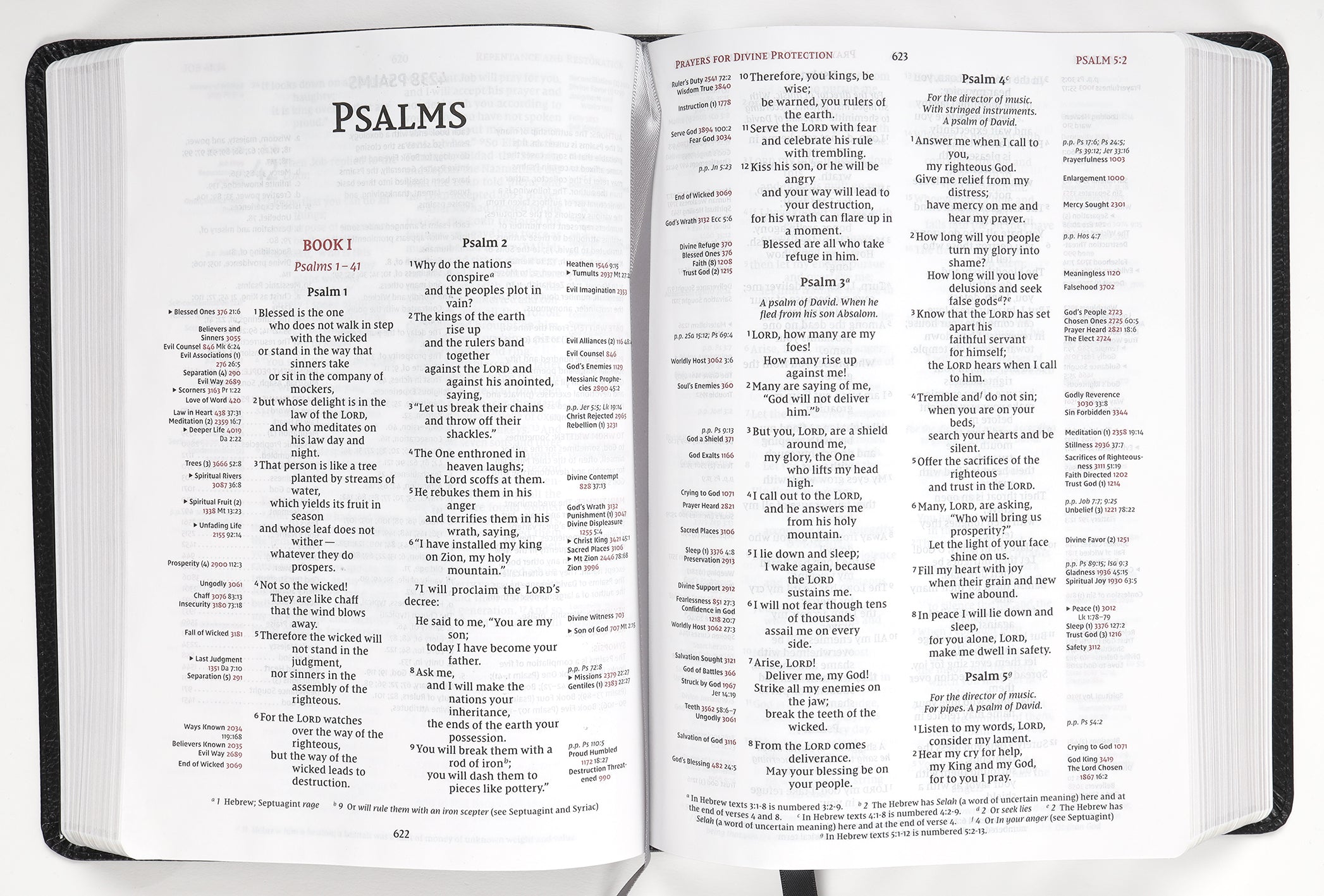 NIV Thompson Chain-Reference Bible Brown (Red Letter Edition)