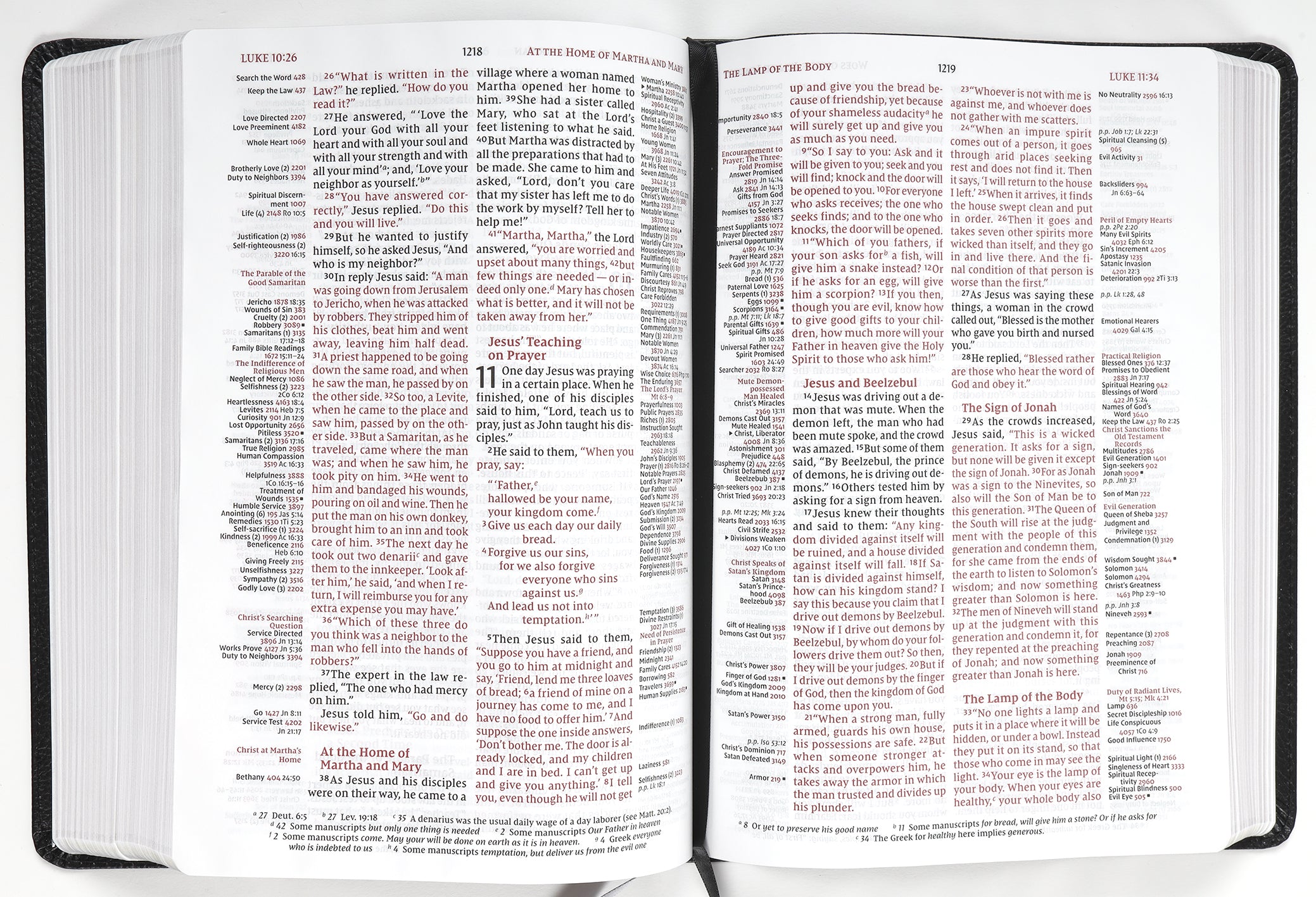 NIV Thompson Chain-Reference Bible Brown (Red Letter Edition)