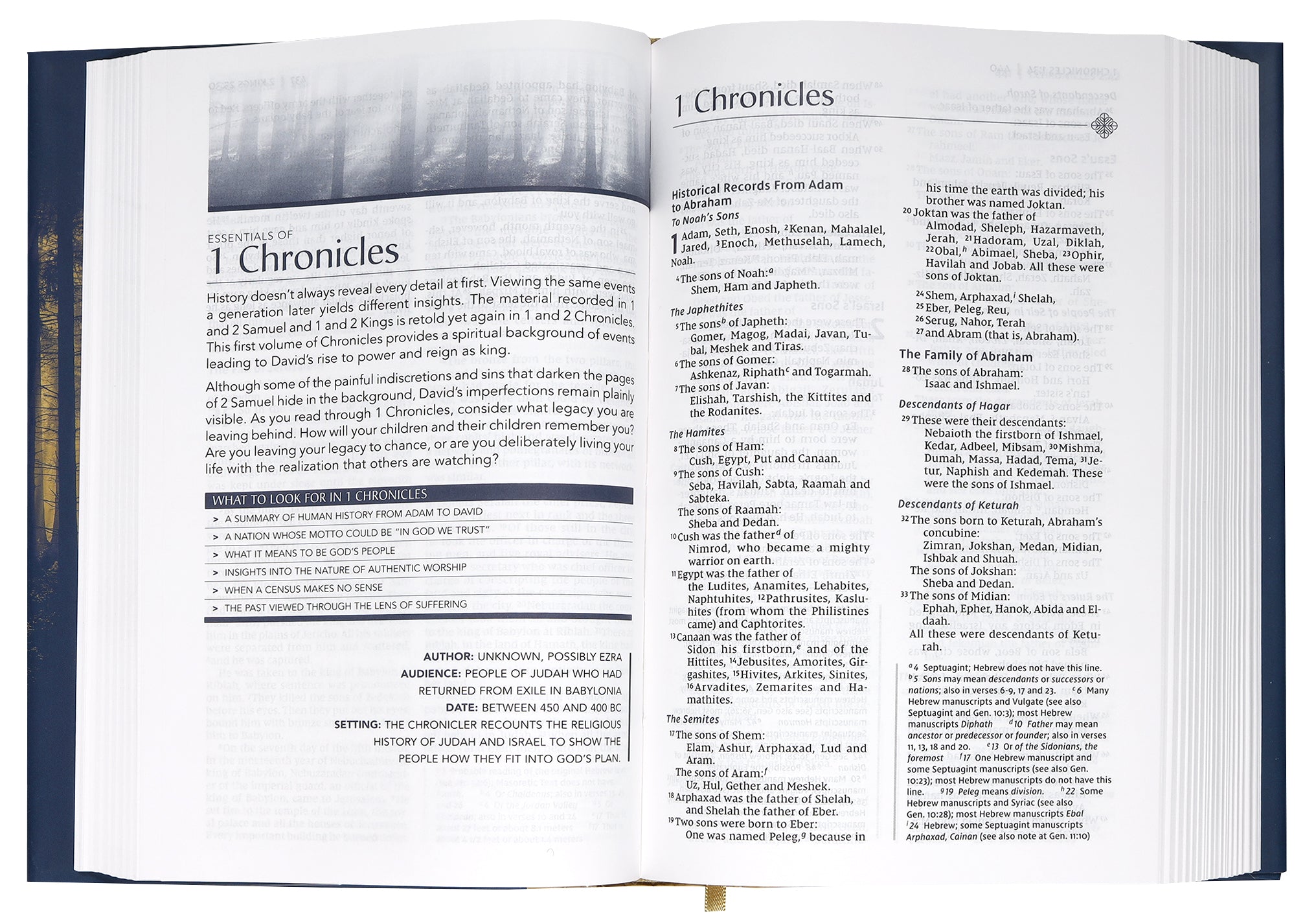 NIV Men's Devotional Bible (Black Letter Edition)