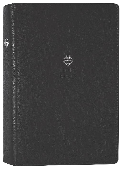 NIV Men's Devotional Bible Large Print Black (Black Letter Edition)