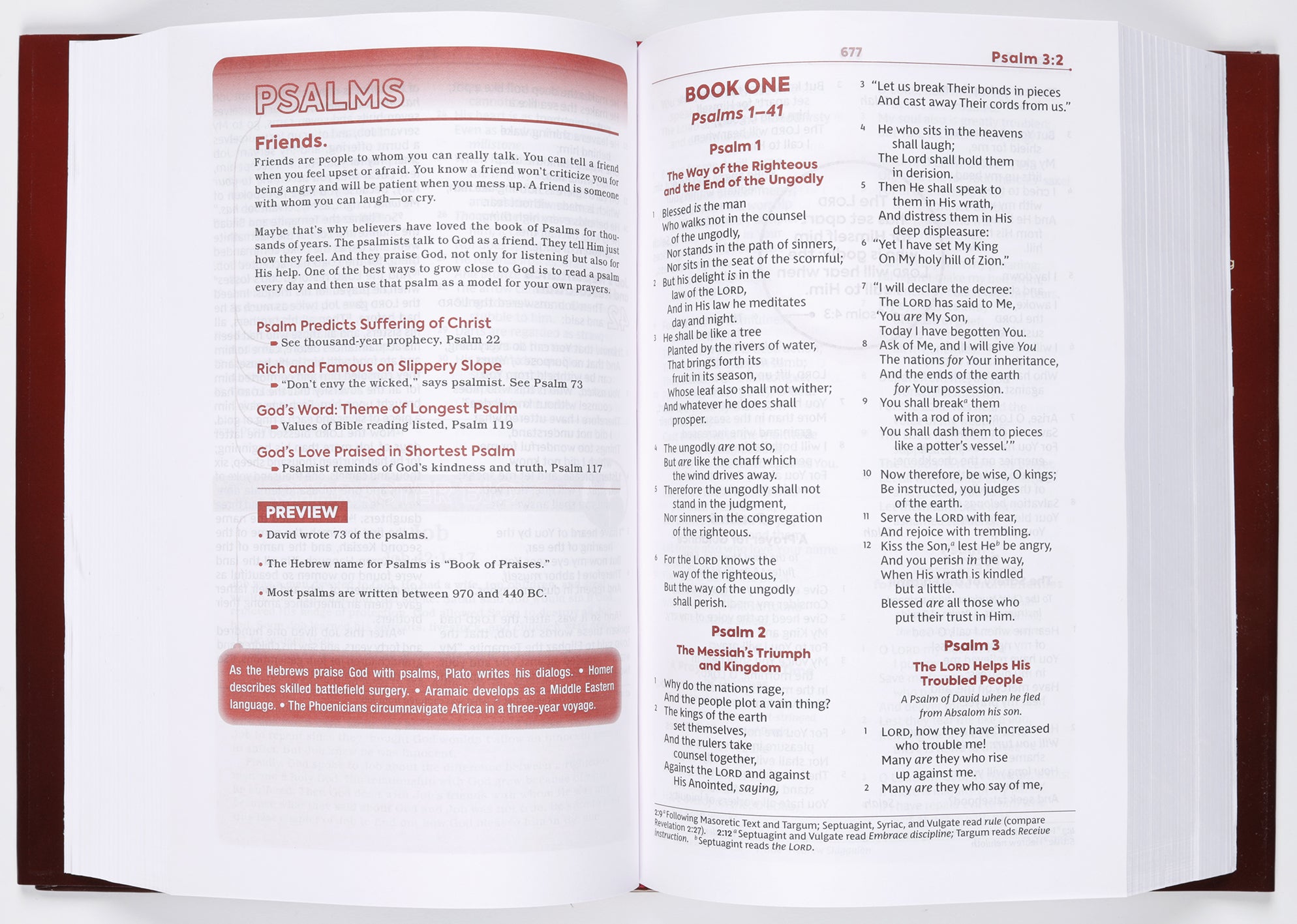 NKJV Teen Study Bible
