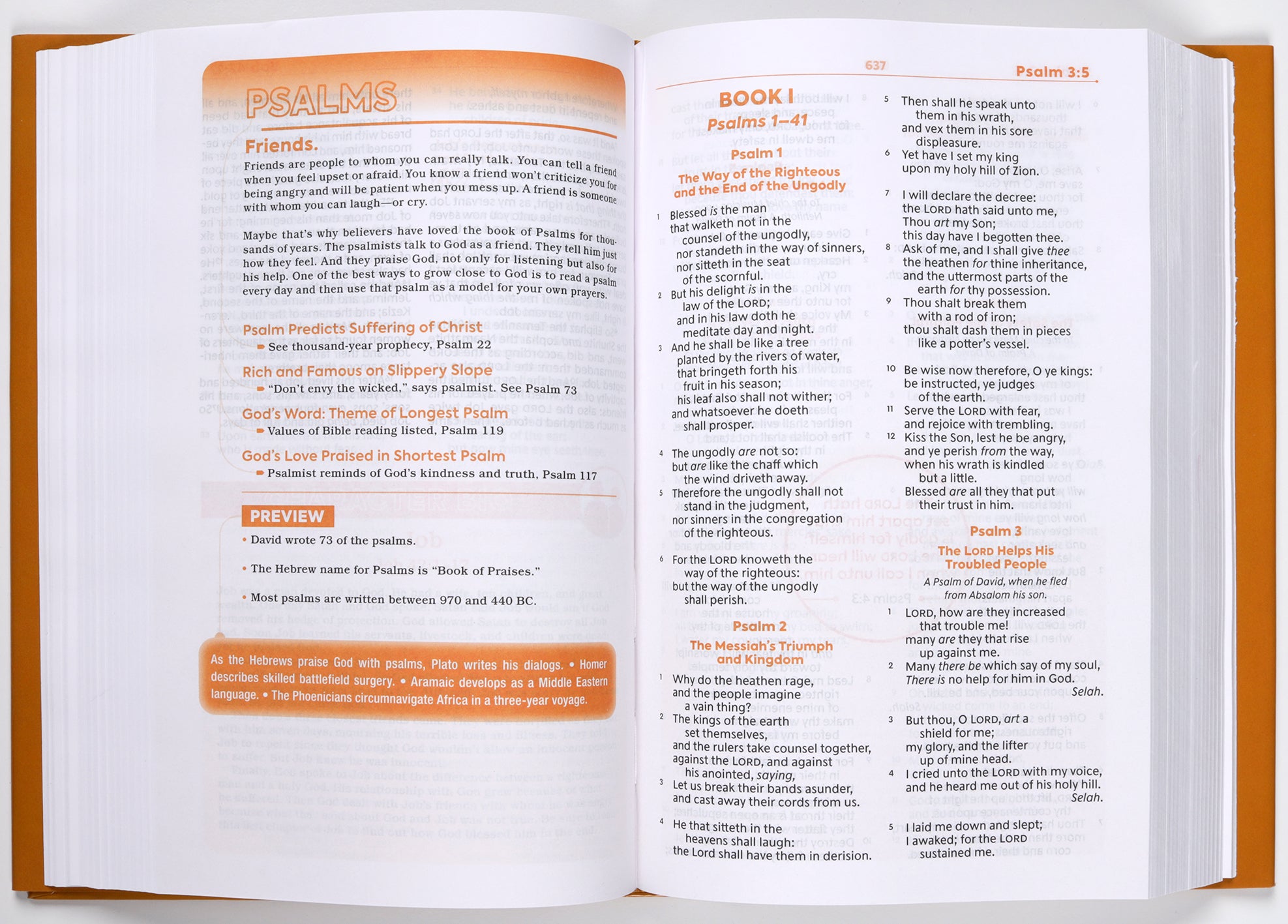KJV Teen Study Bible