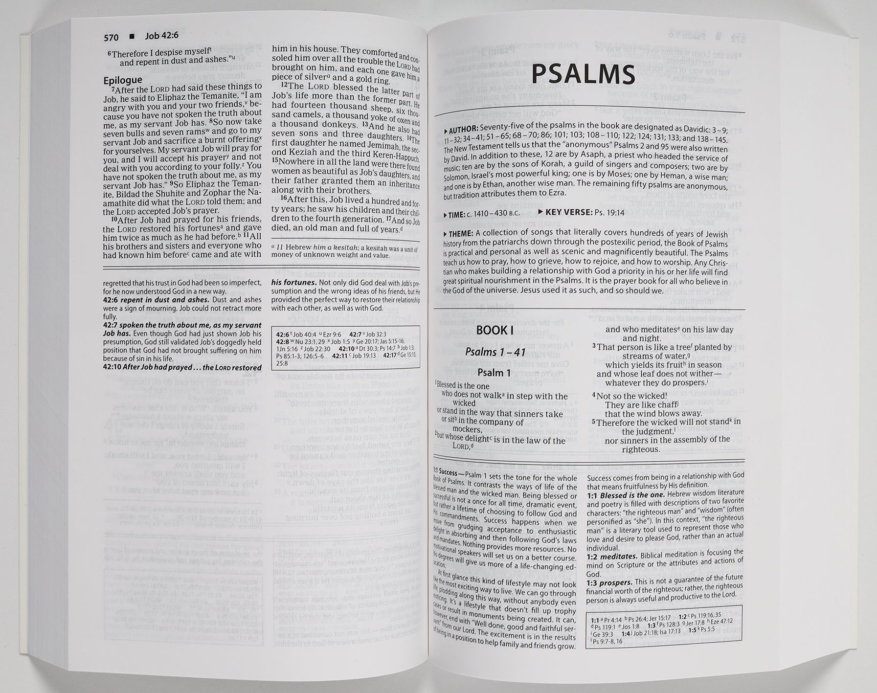 NIV Basic Study Bible Economy Edition Blue (Red Letter Edition)
