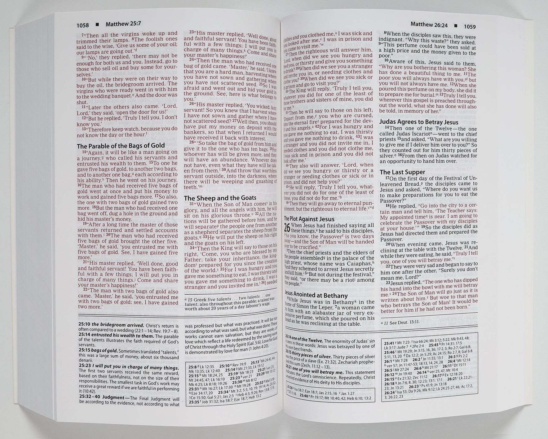 NIV Basic Study Bible Economy Edition Blue (Red Letter Edition)