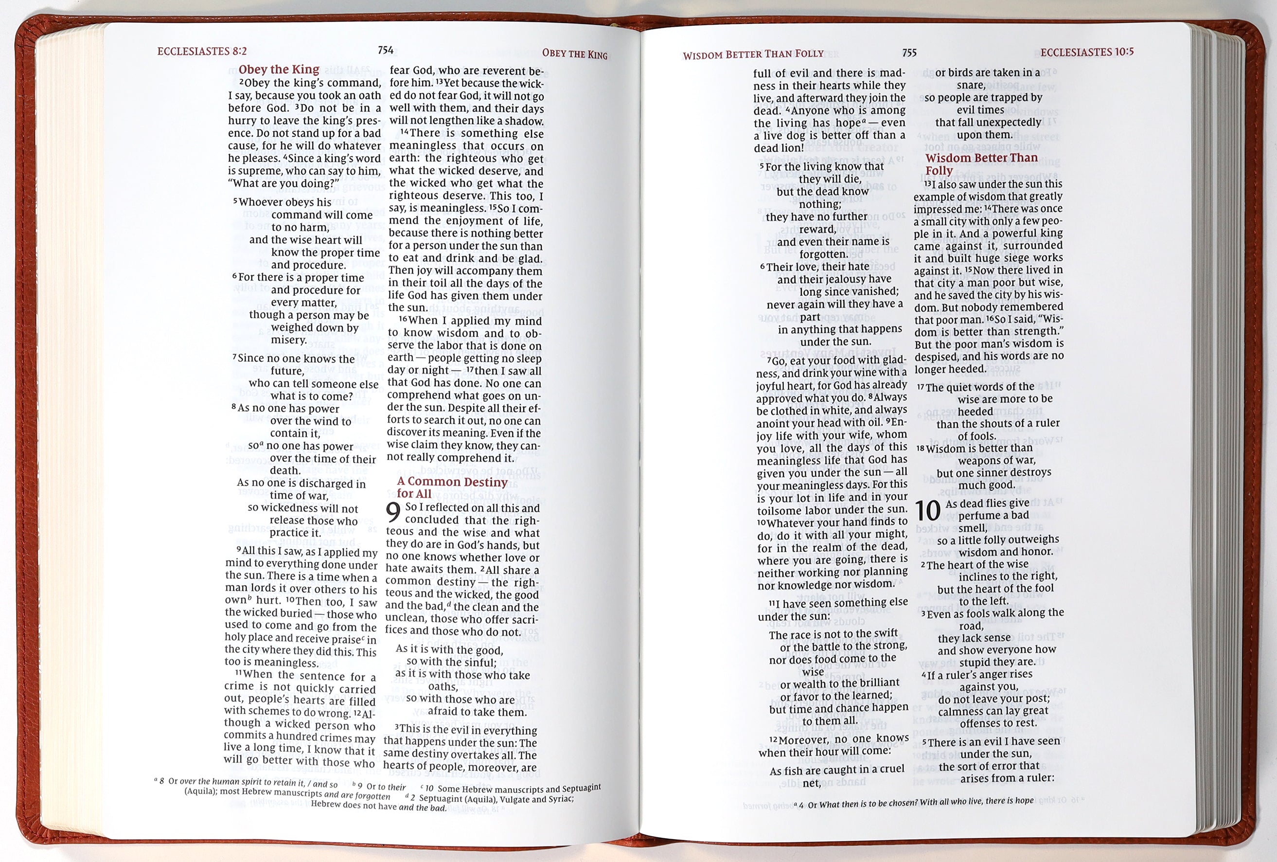 NIV Wide Margin Bible Brown (Red Letter Edition)