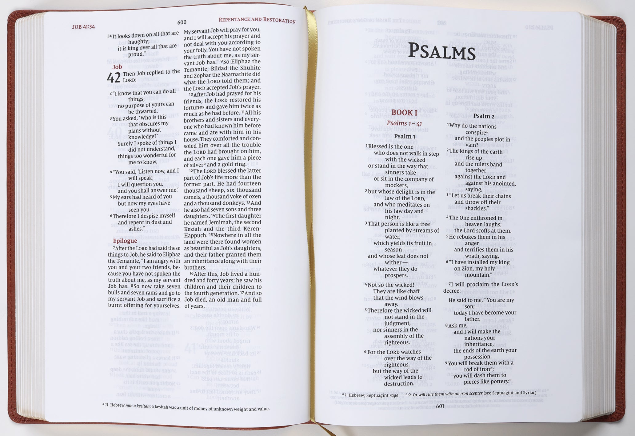 NIV Wide Margin Bible Brown (Red Letter Edition)