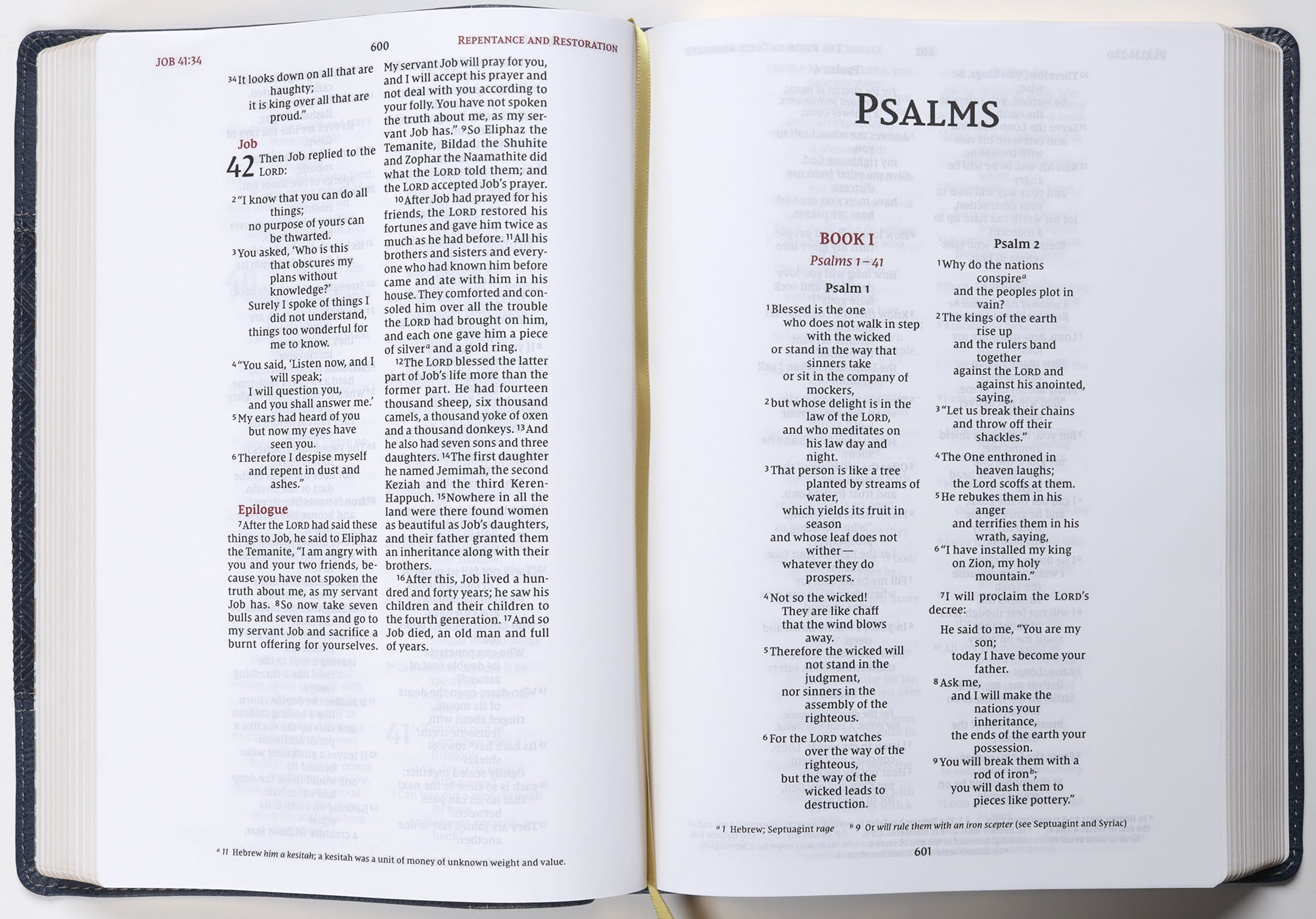NIV Wide Margin Bible Navy (Red Letter Edition)