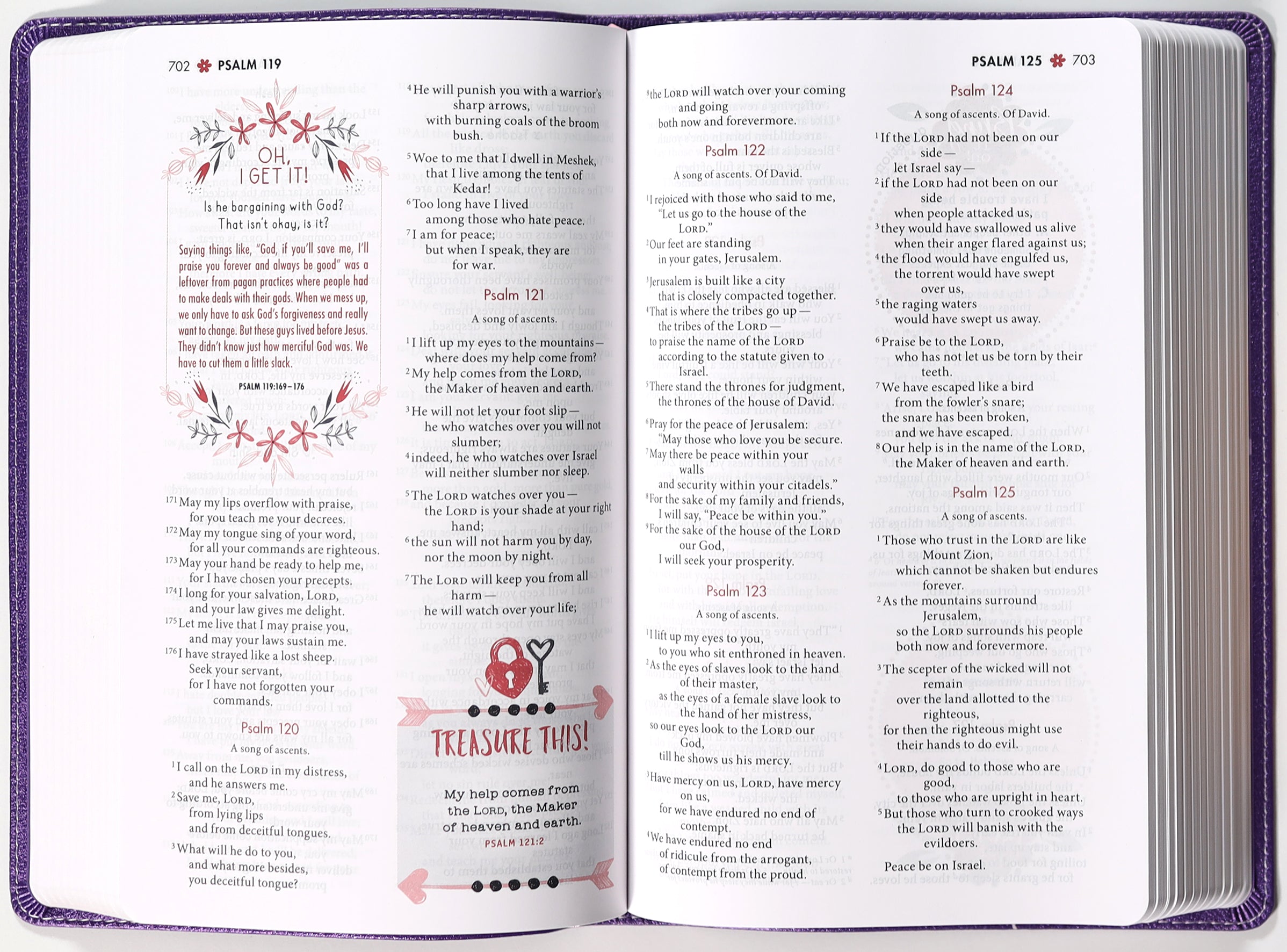 NIV Ultimate Bible For Girls Faithgirlz Edition Purple (Faithgirlz! Series)