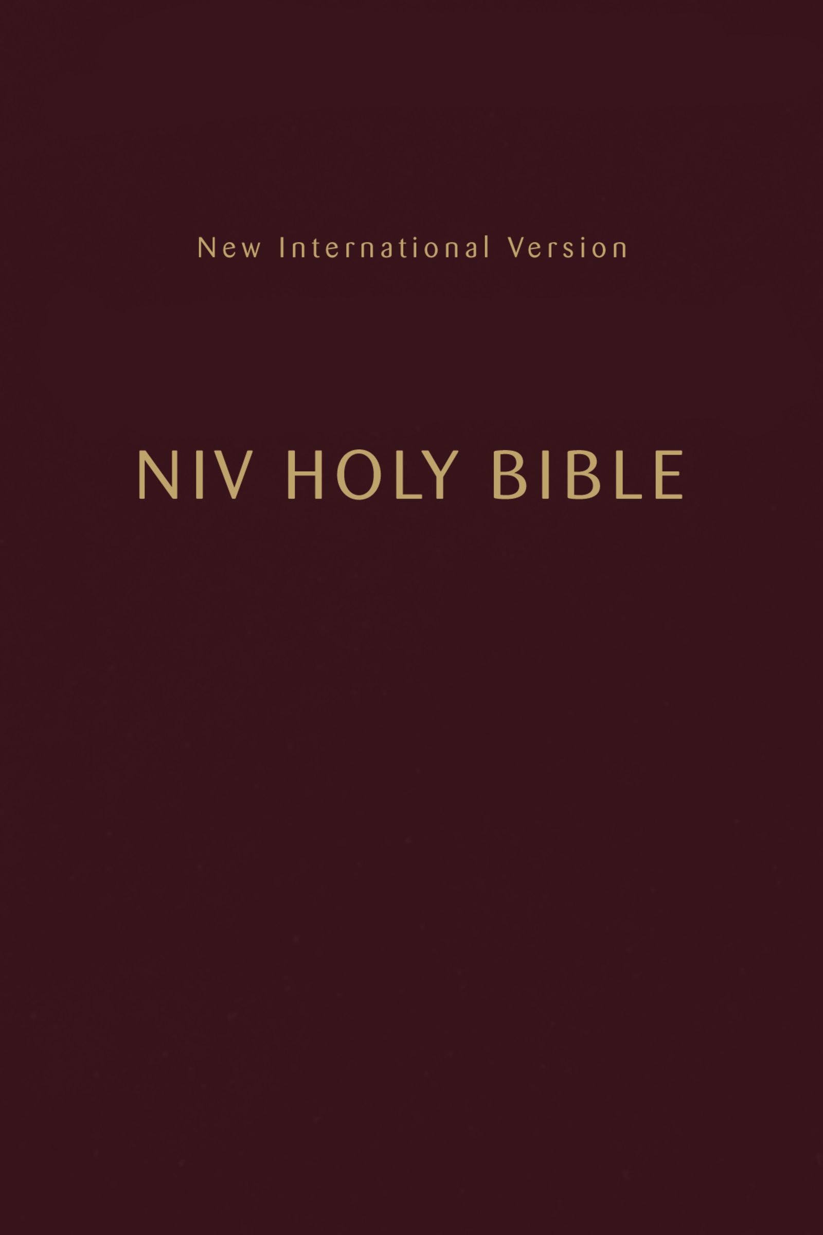 NIV Holy Bible Compact Burgundy
