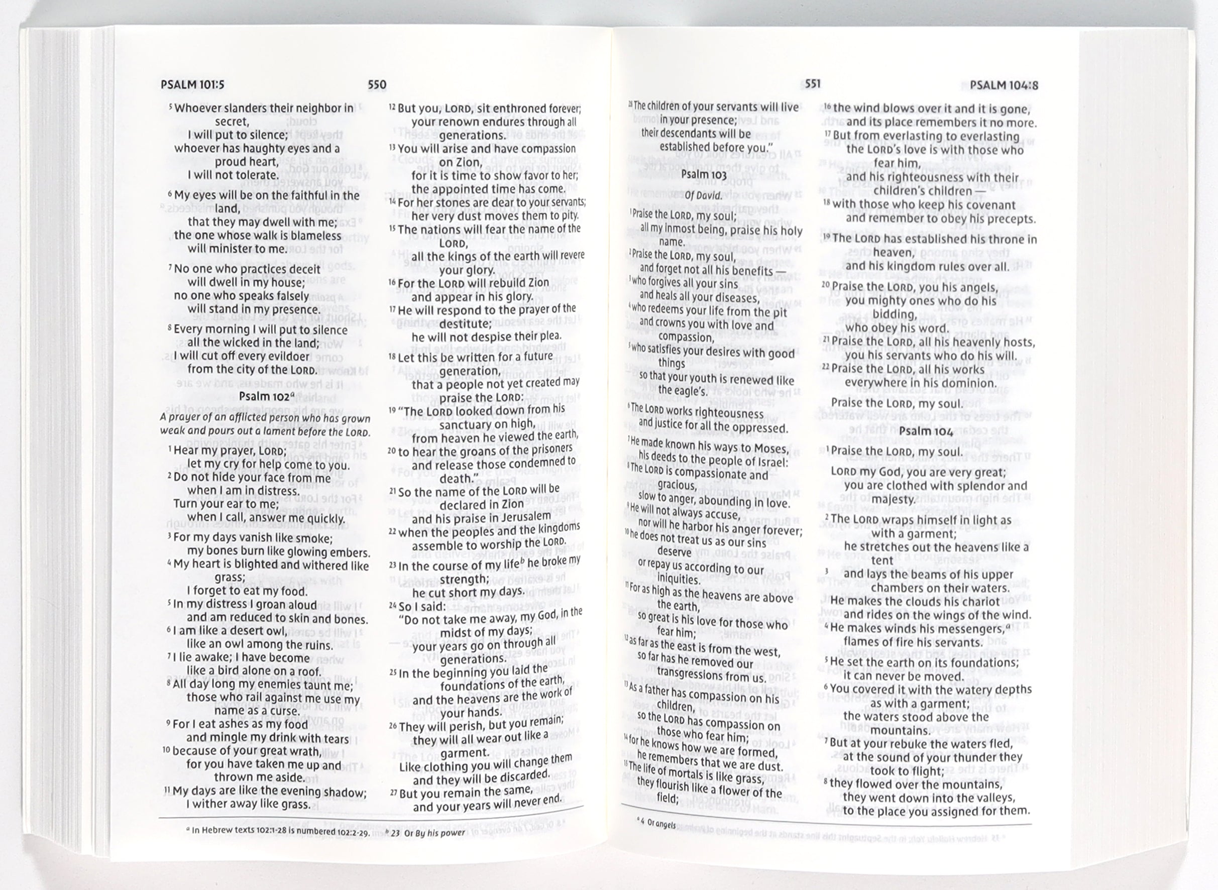 NIV Holy Bible Compact Woodland Camo