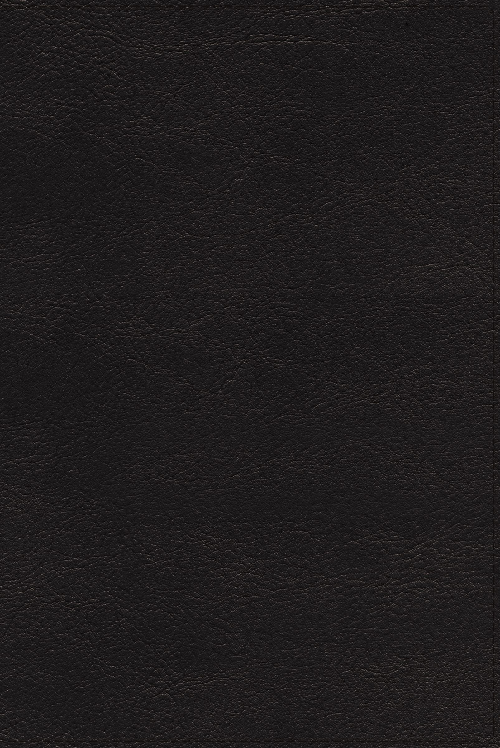 Nrsvue Holy Bible Black