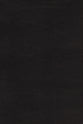 Nrsvue Holy Bible Black