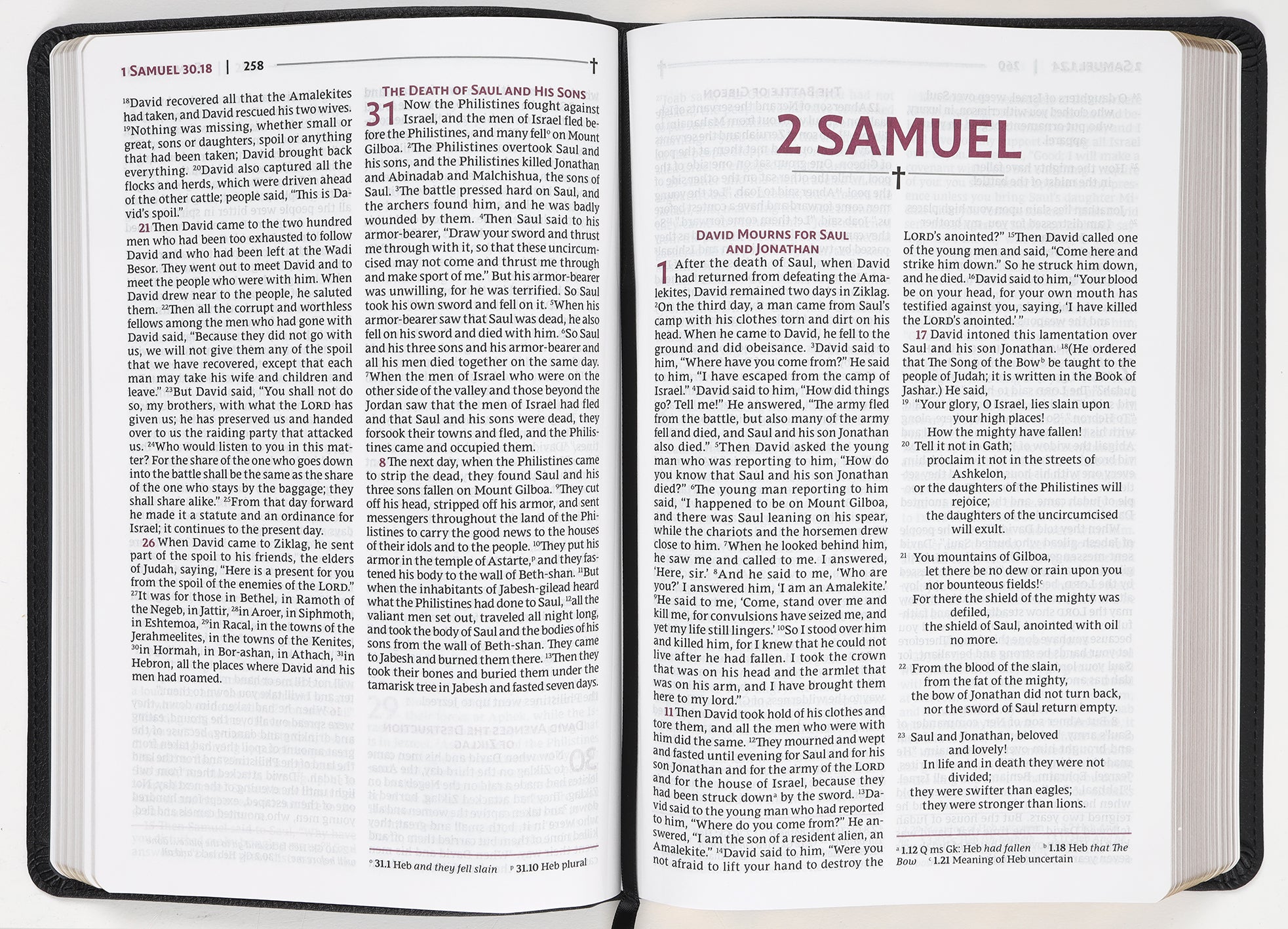 Nrsvue Holy Bible Black