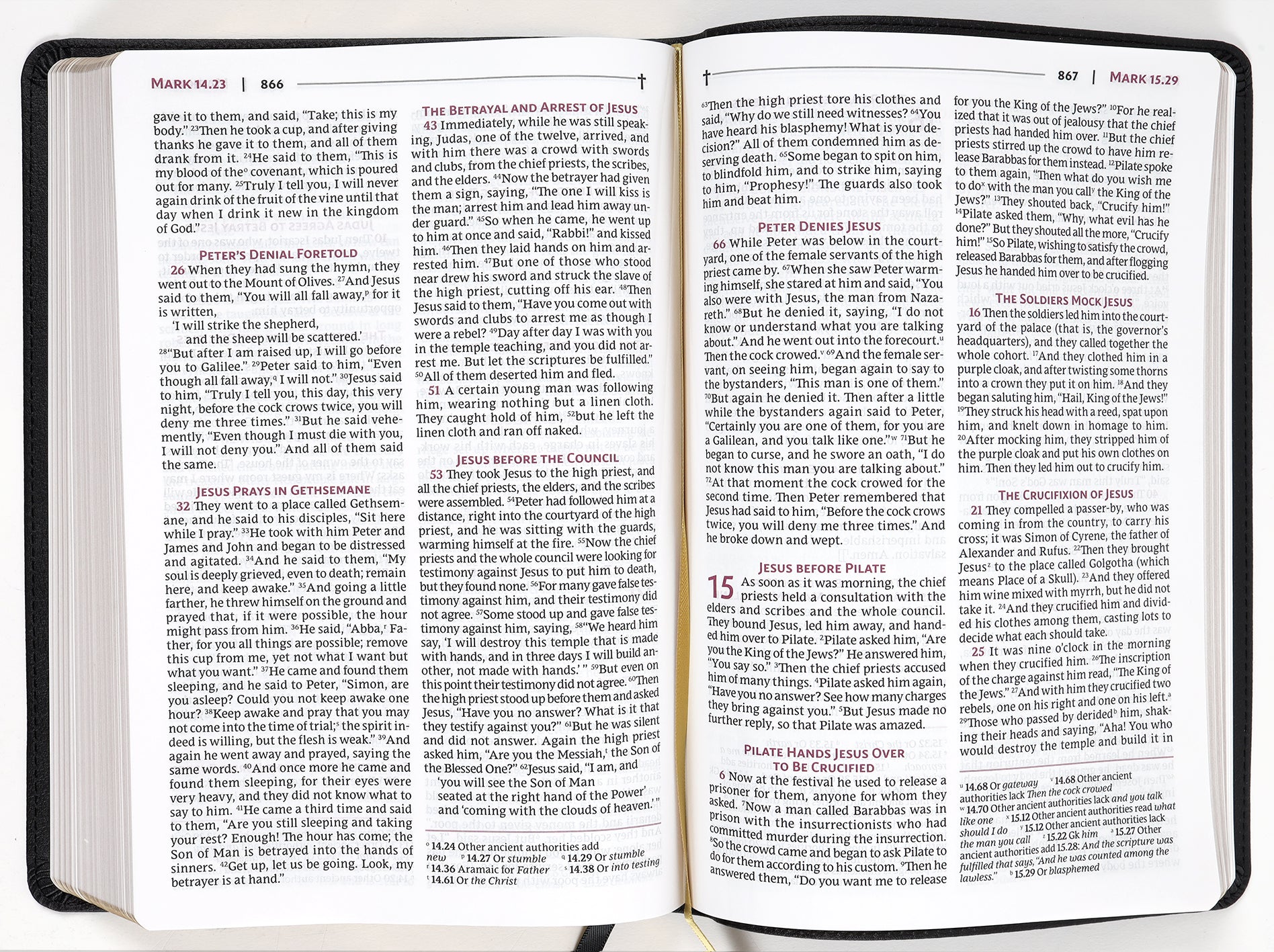 Nrsvue Holy Bible Black