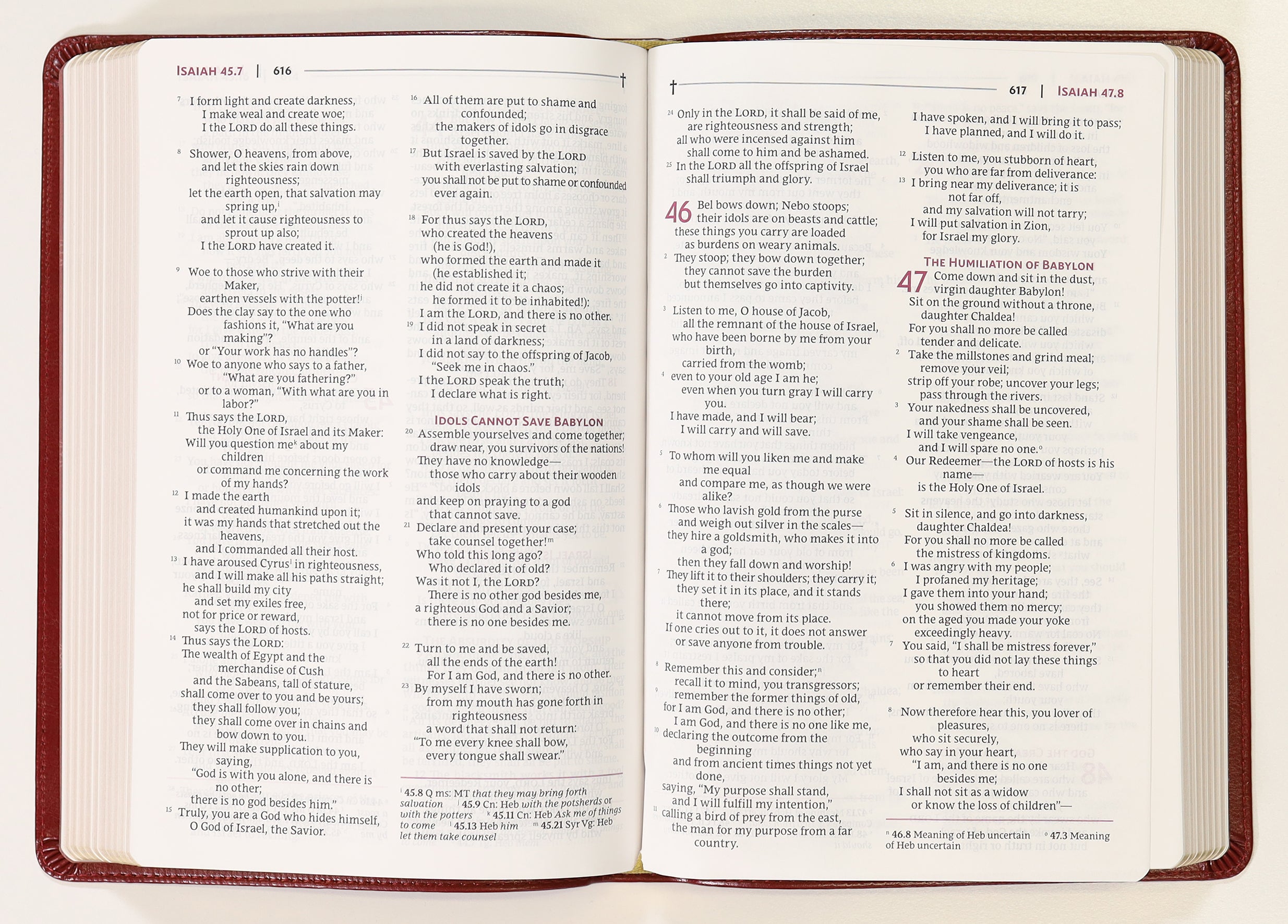 Nrsvue Holy Bible Burgundy