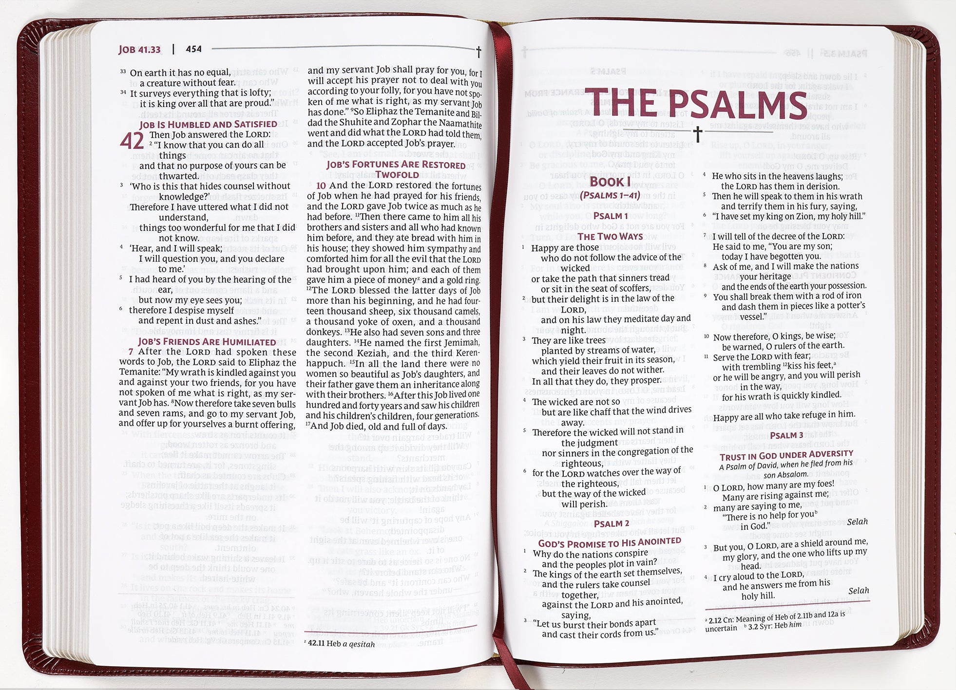 Nrsvue Holy Bible Burgundy