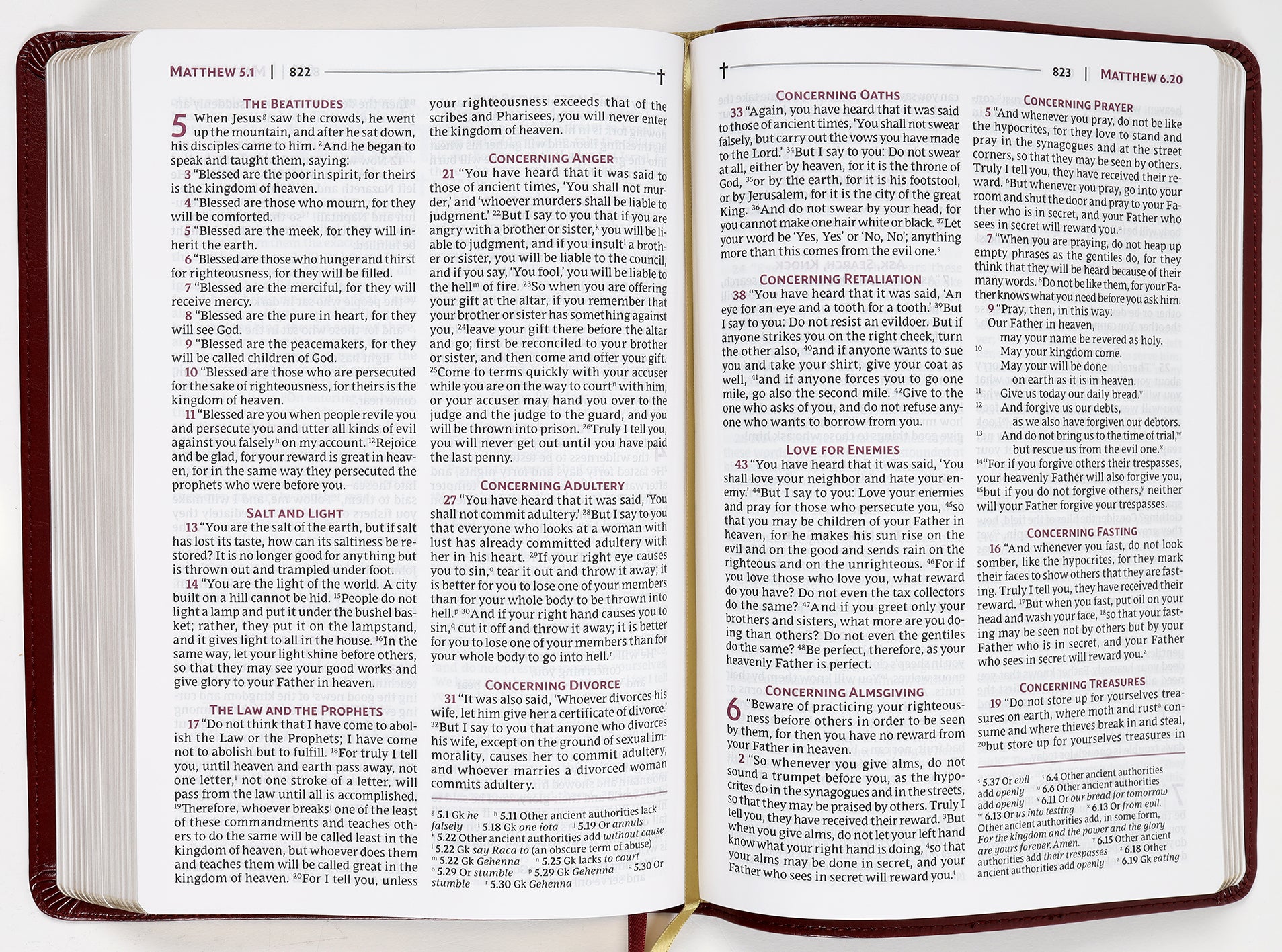 Nrsvue Holy Bible Burgundy