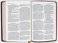 Nrsvue Holy Bible Burgundy