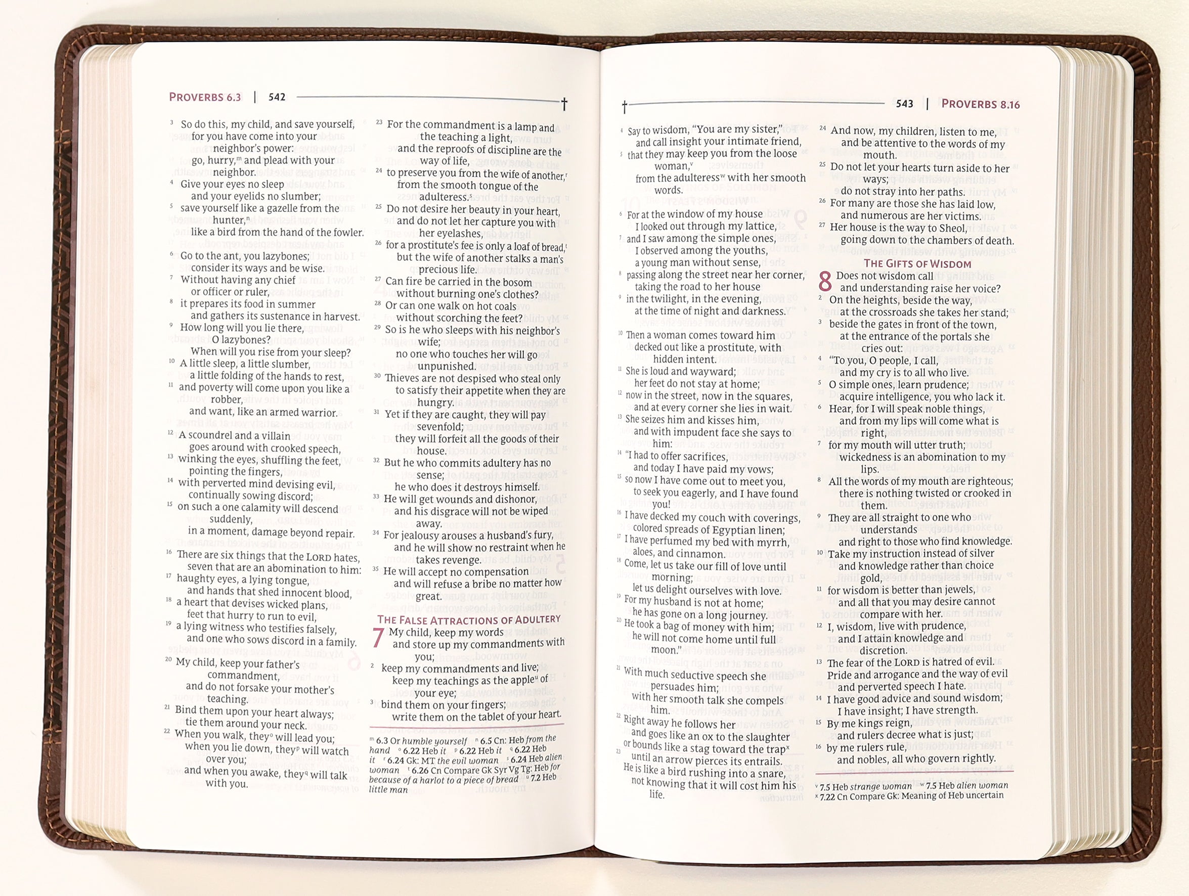 Nrsvue Holy Bible Personal Size Brown
