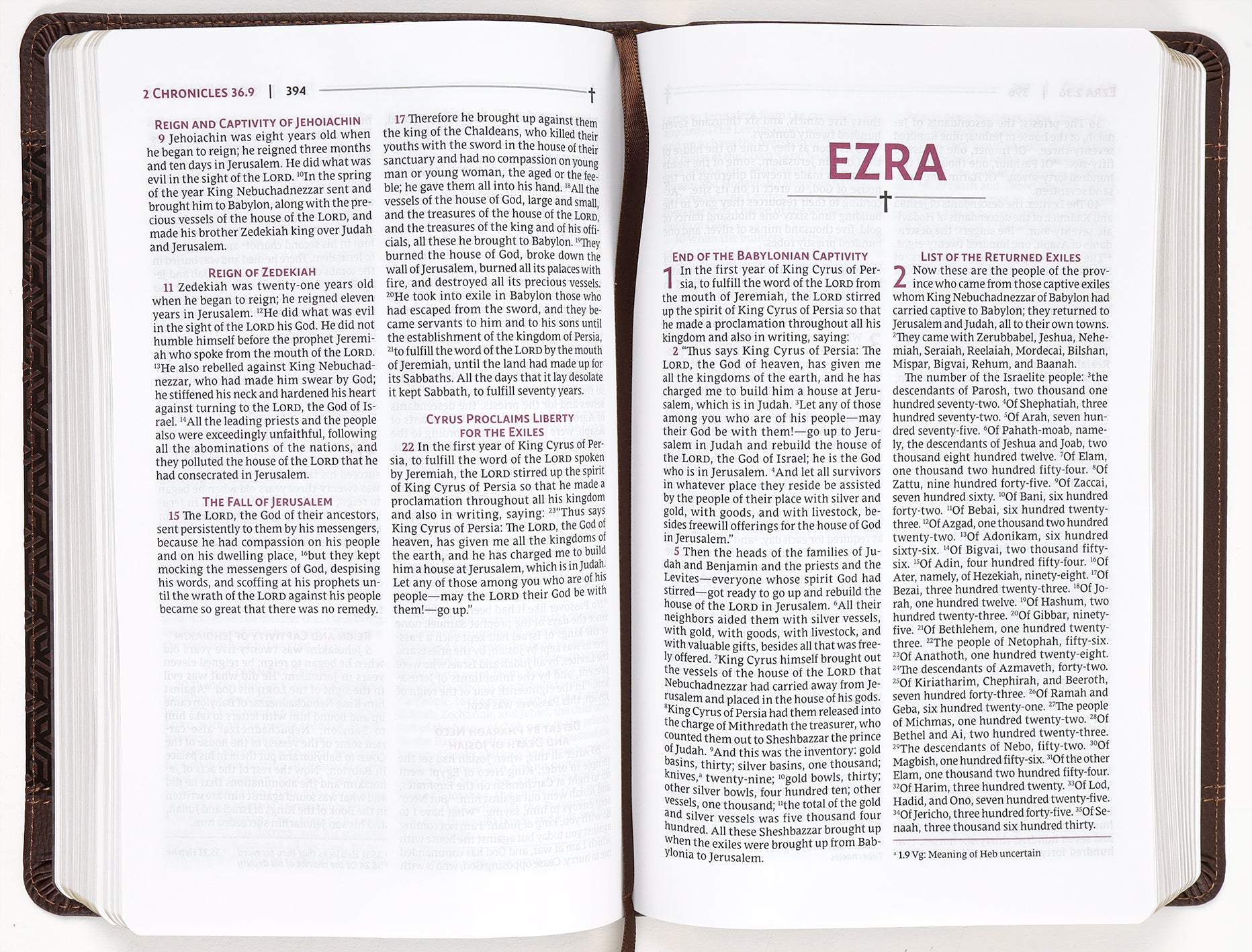 Nrsvue Holy Bible Personal Size Brown
