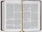 Nrsvue Holy Bible Personal Size Brown