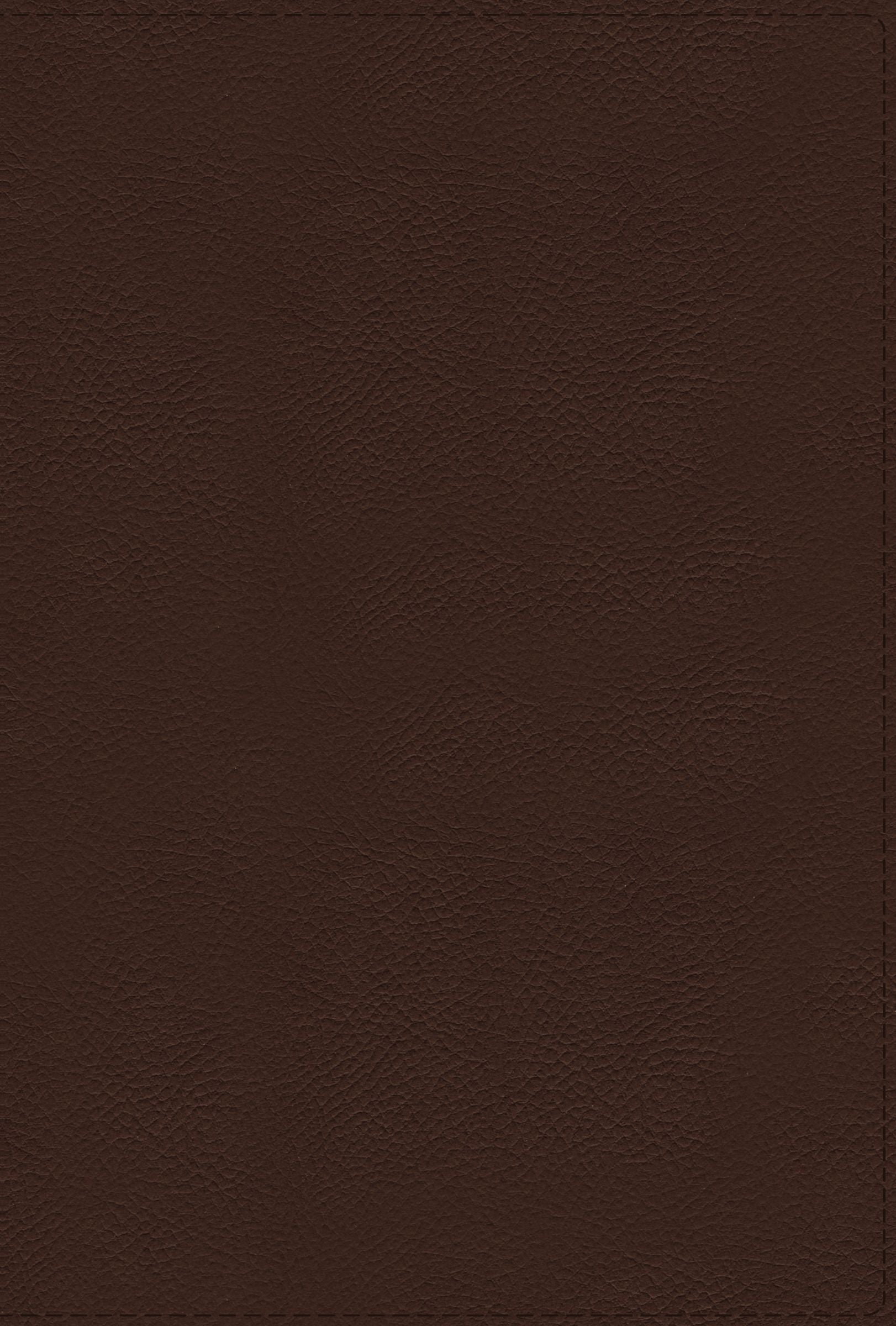 Nrsvue Holy Bible With Apocrypha Brown