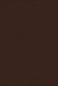 Nrsvue Holy Bible With Apocrypha Brown