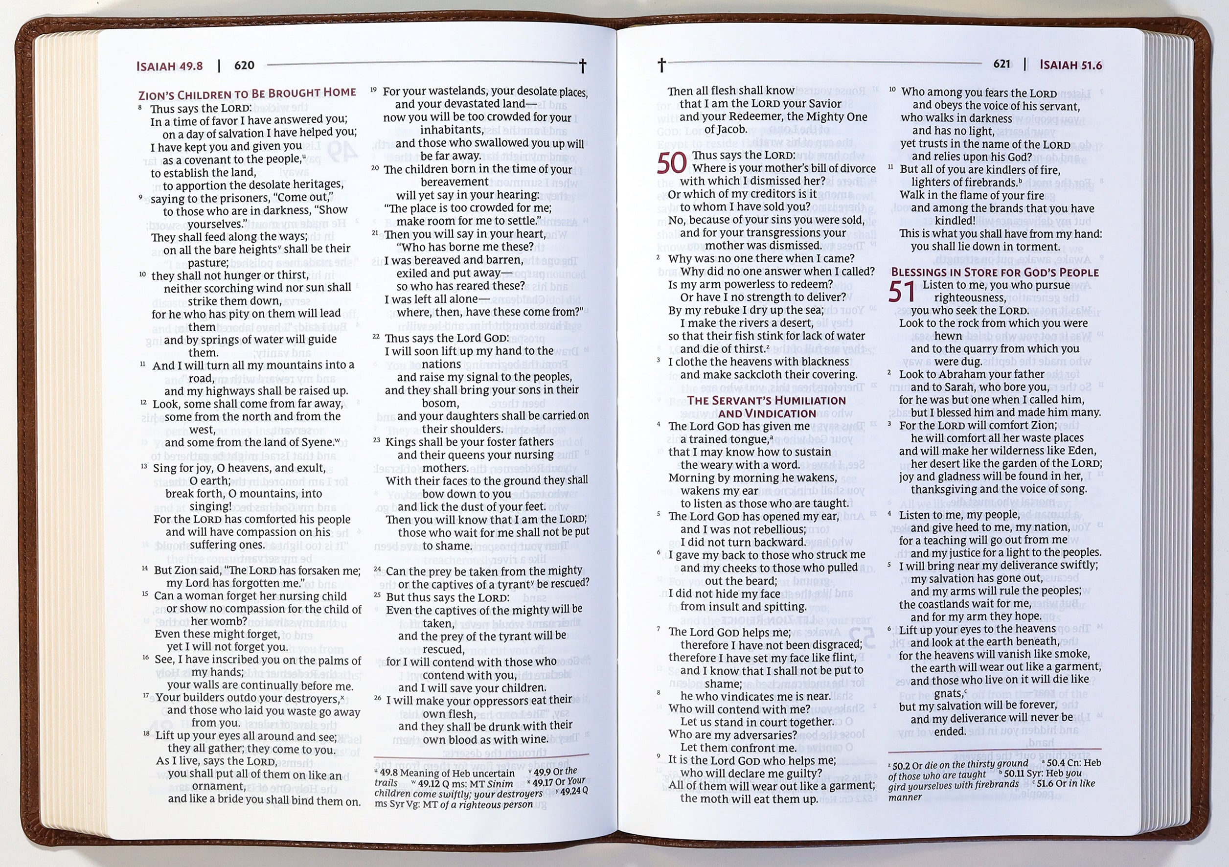 Nrsvue Holy Bible With Apocrypha Brown