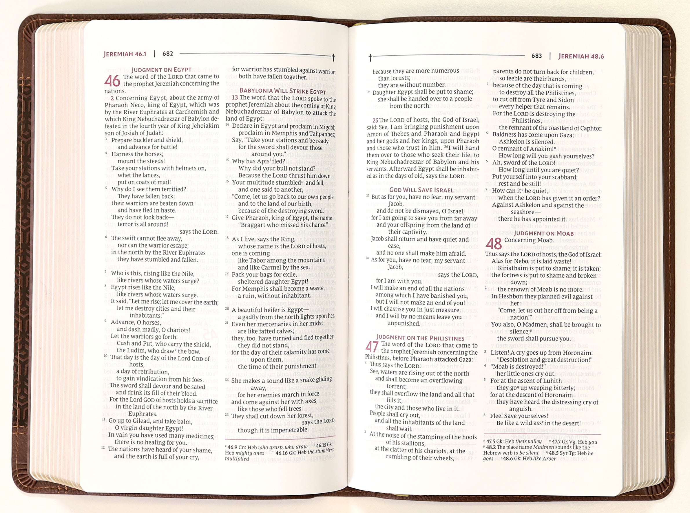 Nrsvue Holy Bible With Apocrypha Personal Size Brown