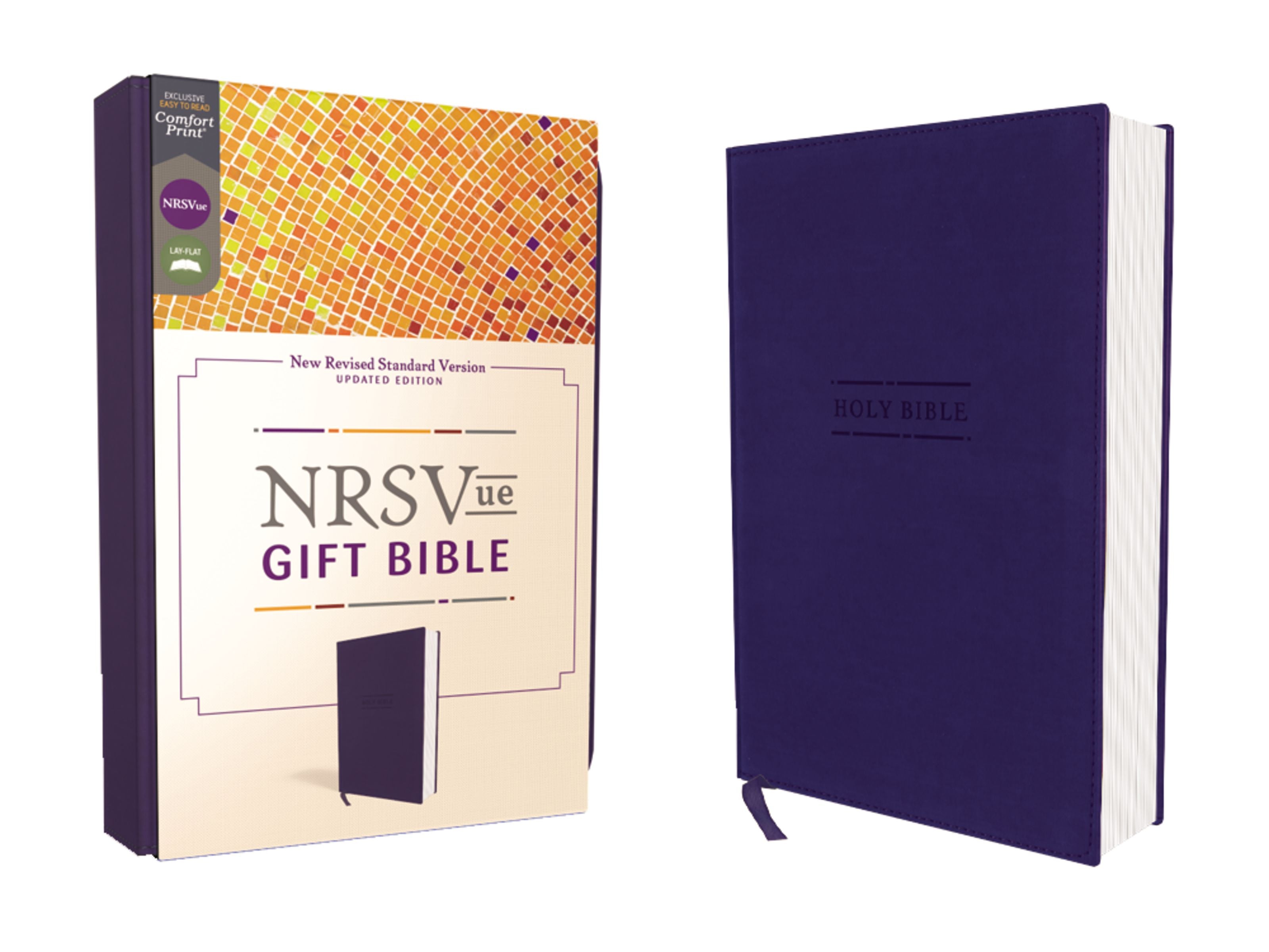 Nrsvue Gift Bible Blue