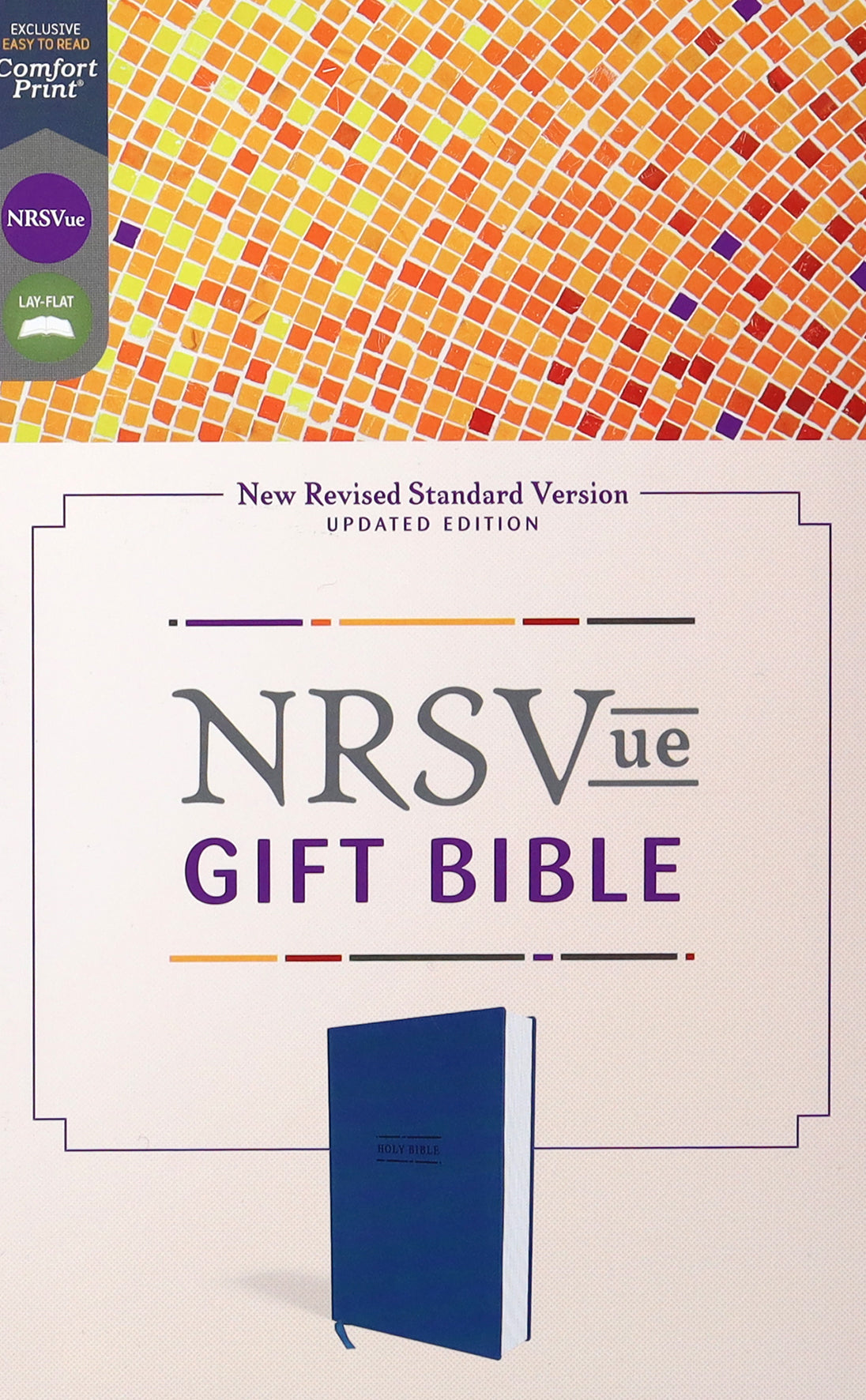 Nrsvue Gift Bible Blue