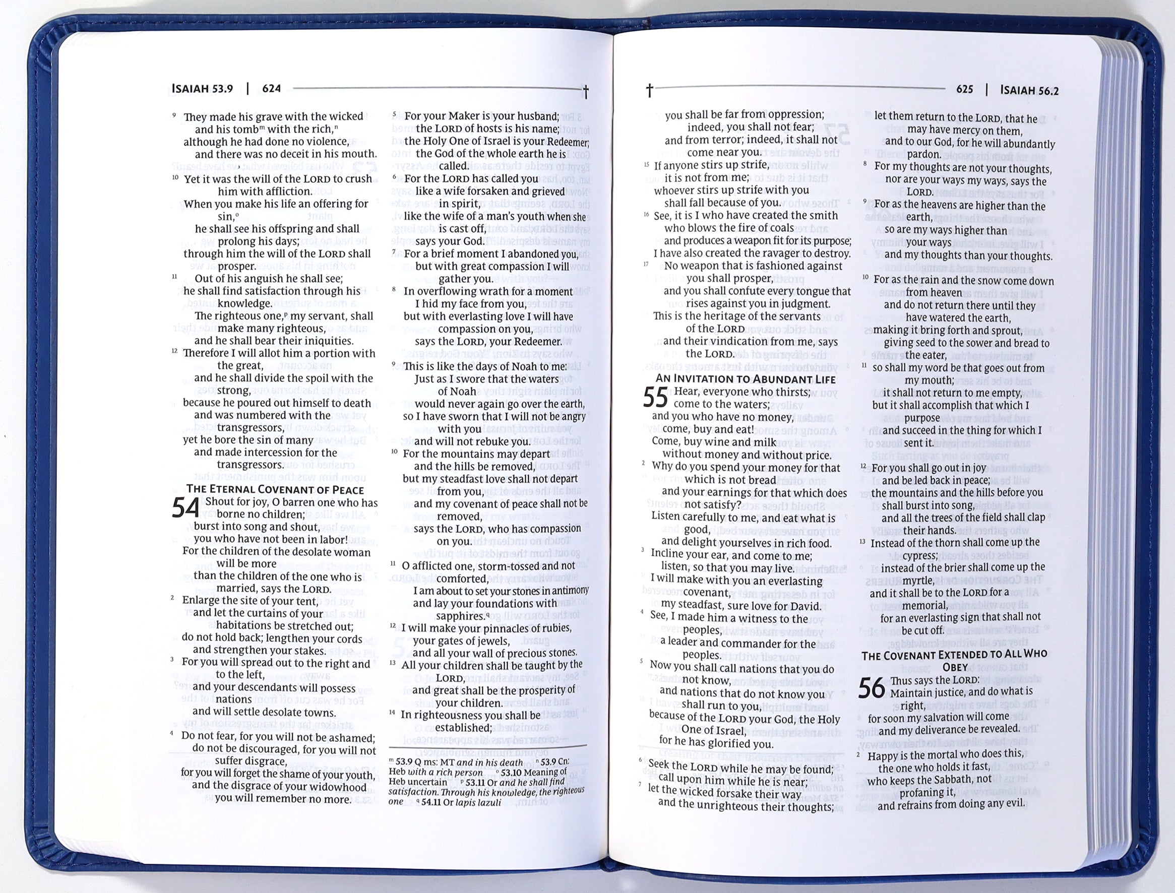 Nrsvue Gift Bible Blue