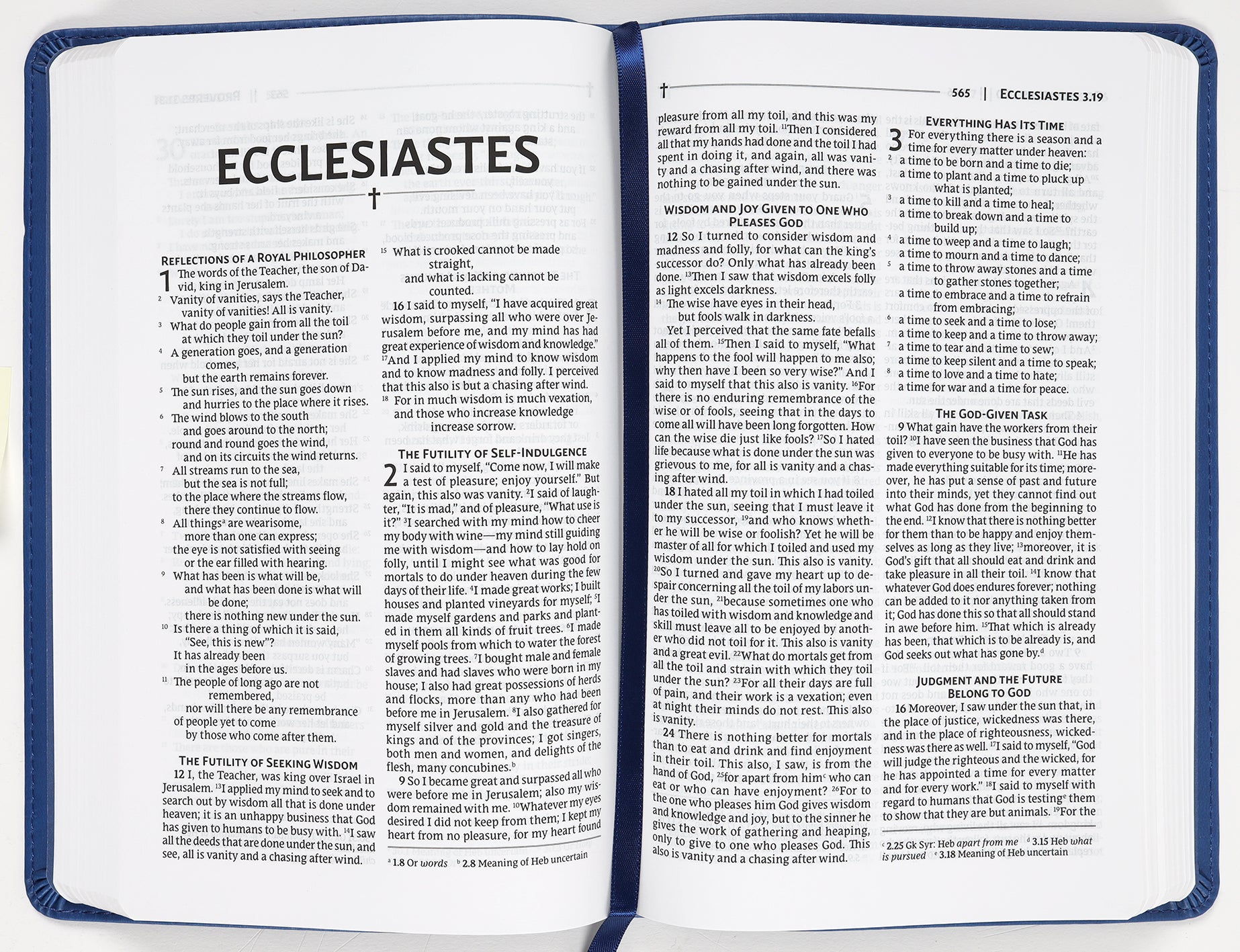 Nrsvue Gift Bible Blue