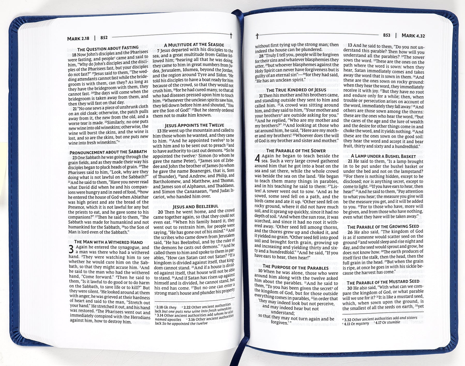Nrsvue Gift Bible Blue
