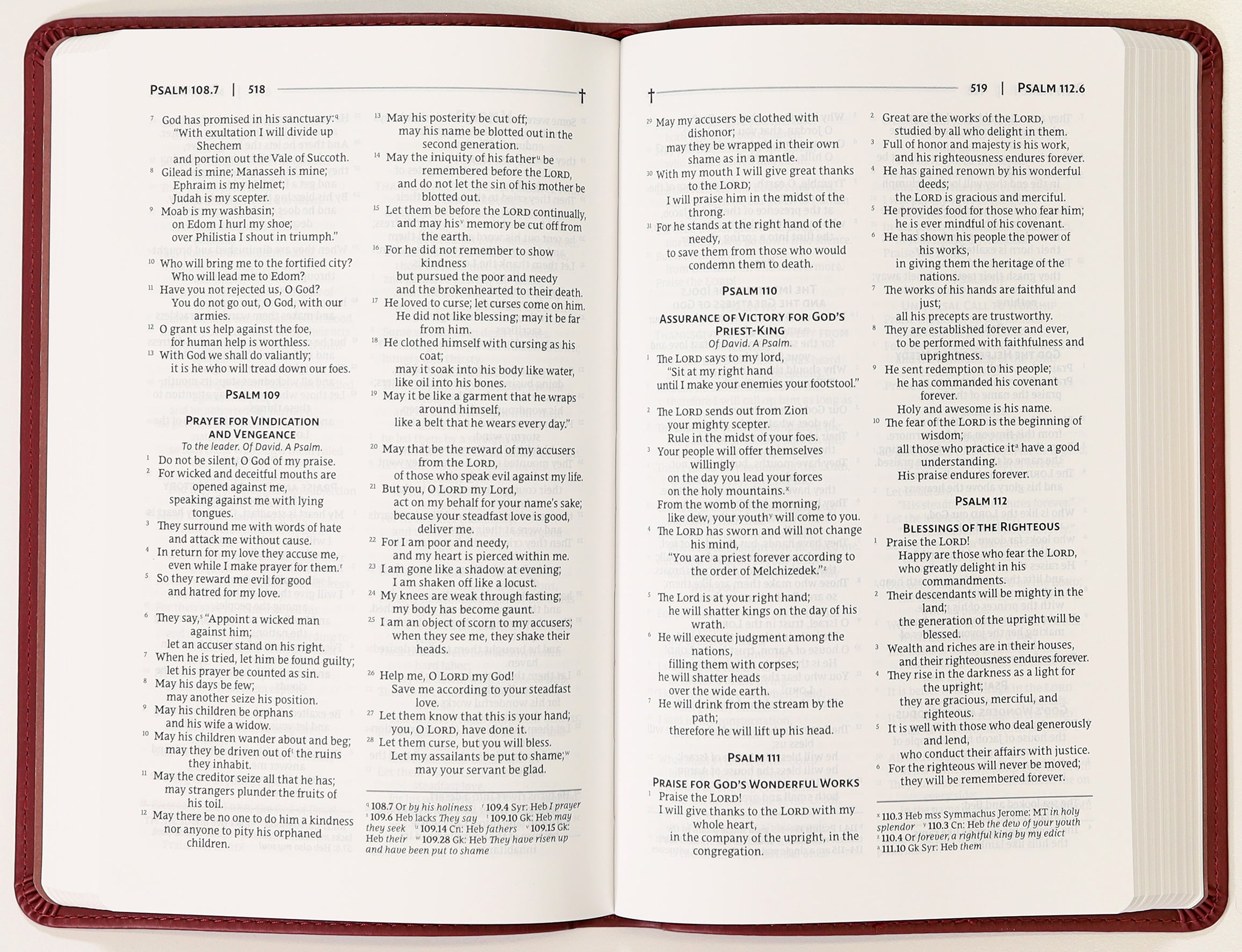 Nrsvue Gift Bible Burgundy