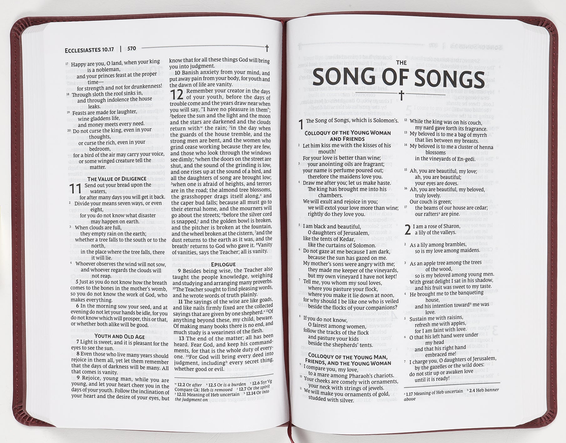 Nrsvue Gift Bible Burgundy