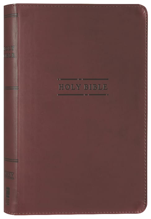 Nrsvue Gift Bible Burgundy