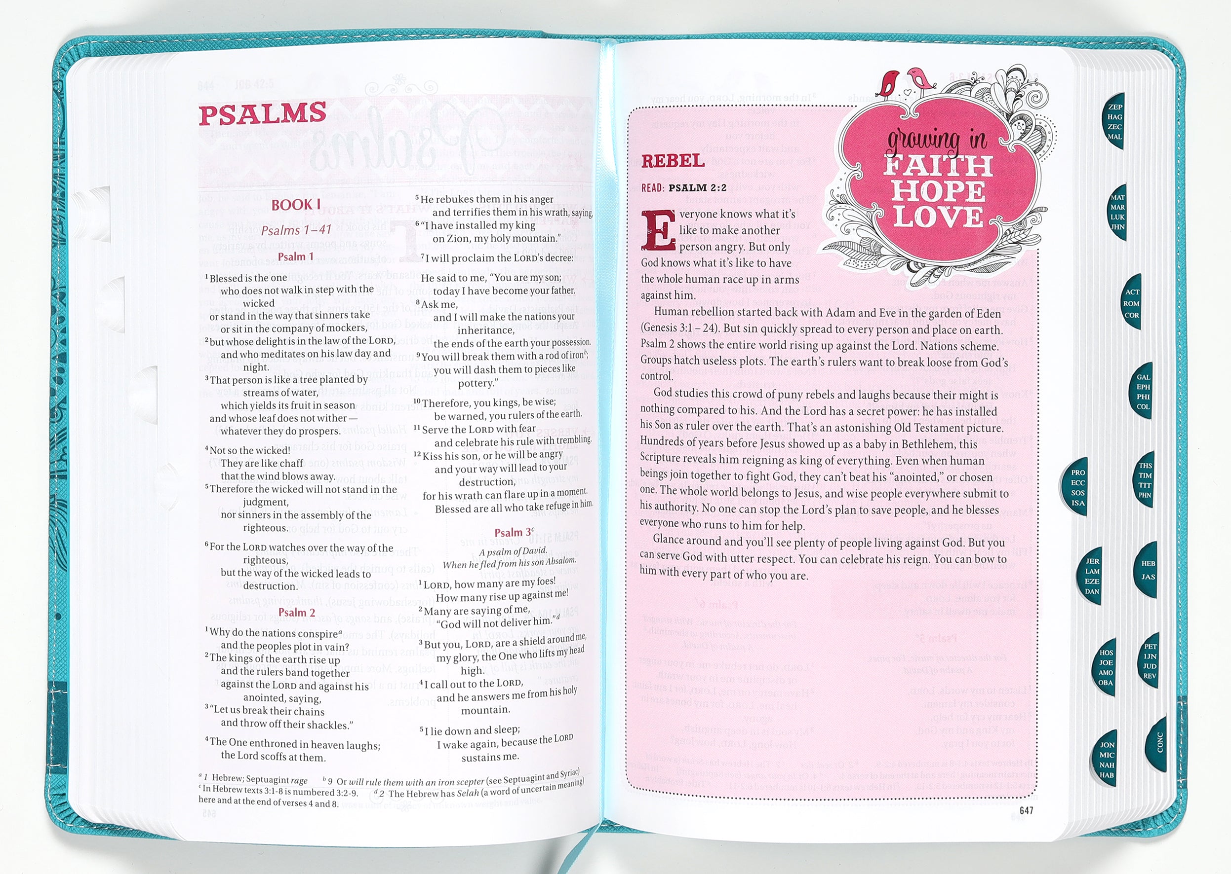 NIV Bible For Teen Girls Indexed Blue